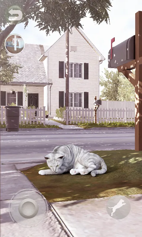 Talking Tabby Cat | Indus Appstore | Screenshot