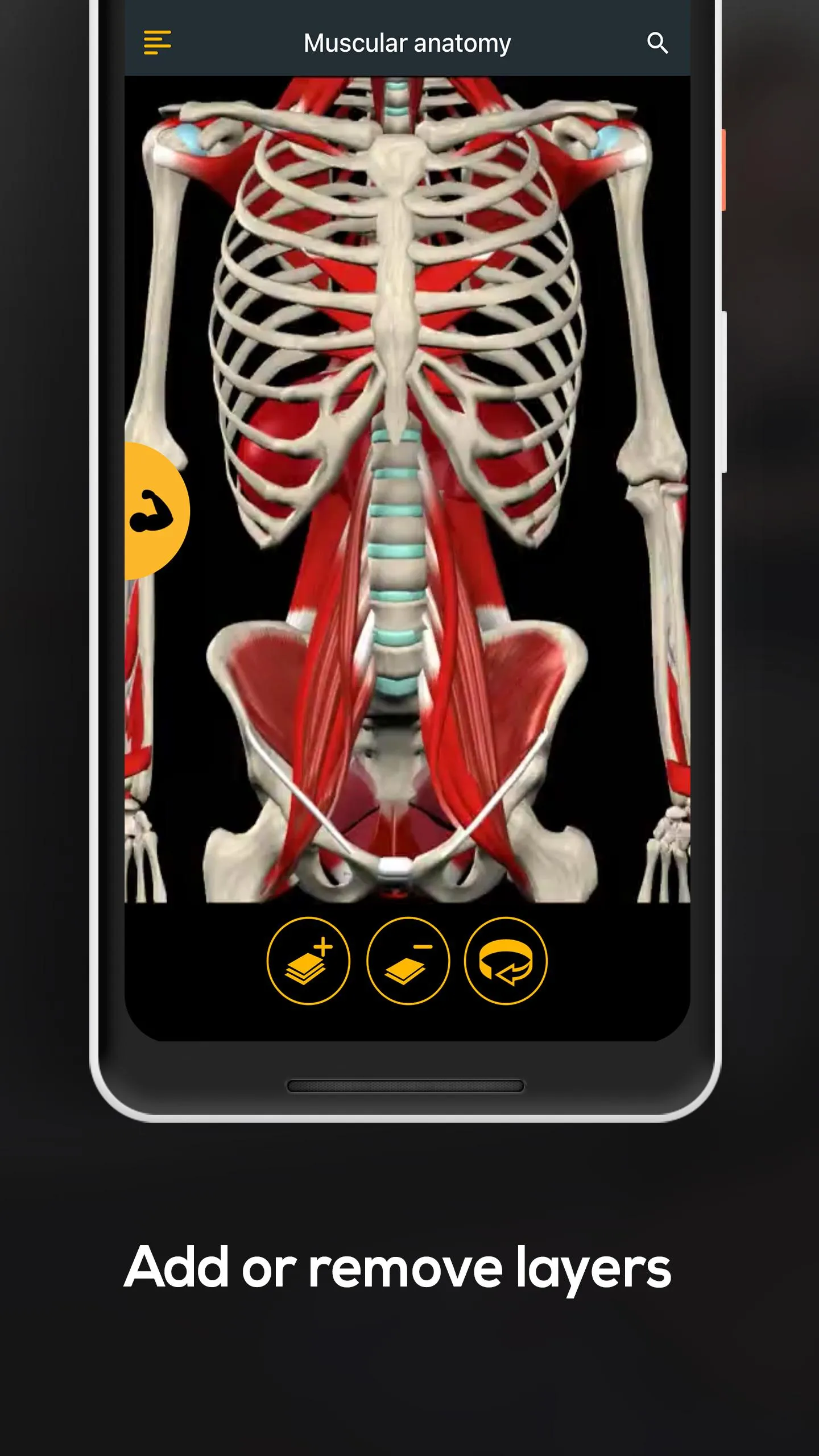 Anatomy by Muscle & Motion | Indus Appstore | Screenshot