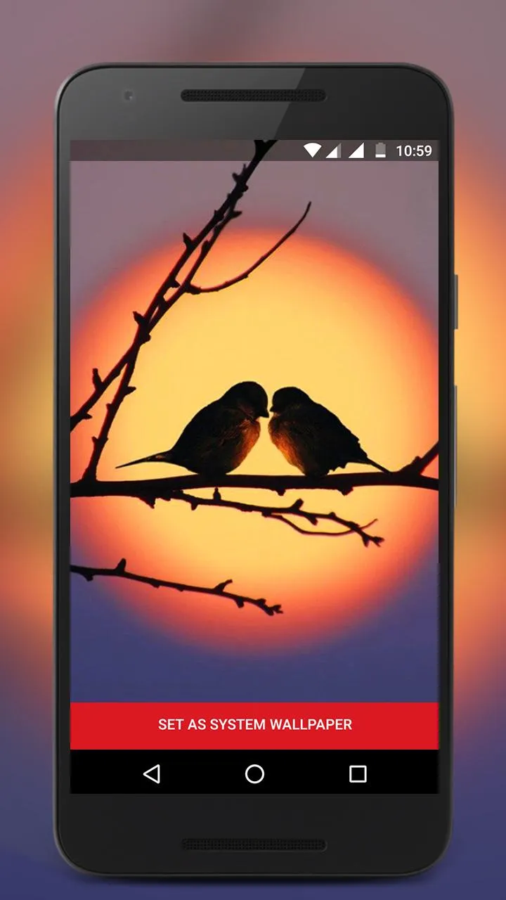 Owl Live Lock Screen | Indus Appstore | Screenshot