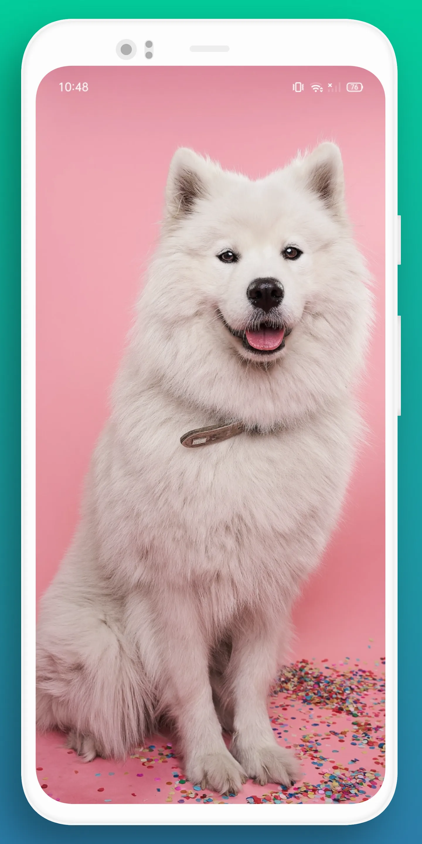 Dog wallpaper | Indus Appstore | Screenshot