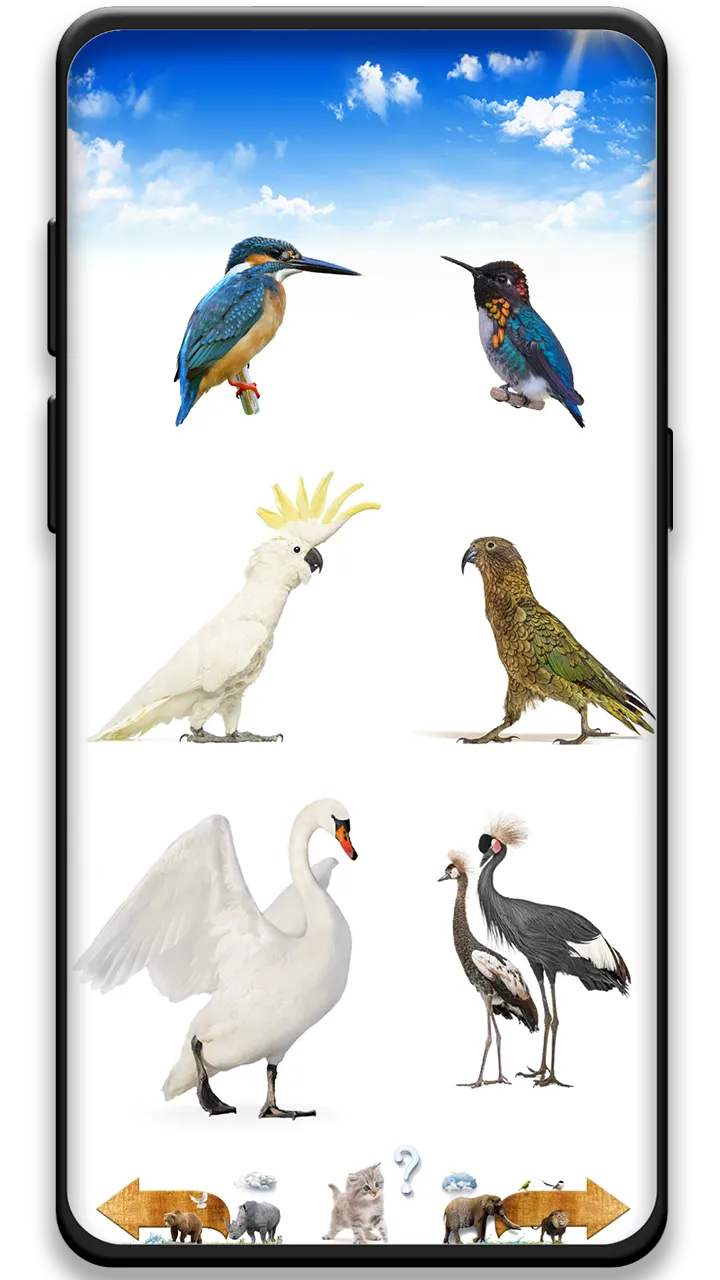 Animal Sounds | Indus Appstore | Screenshot