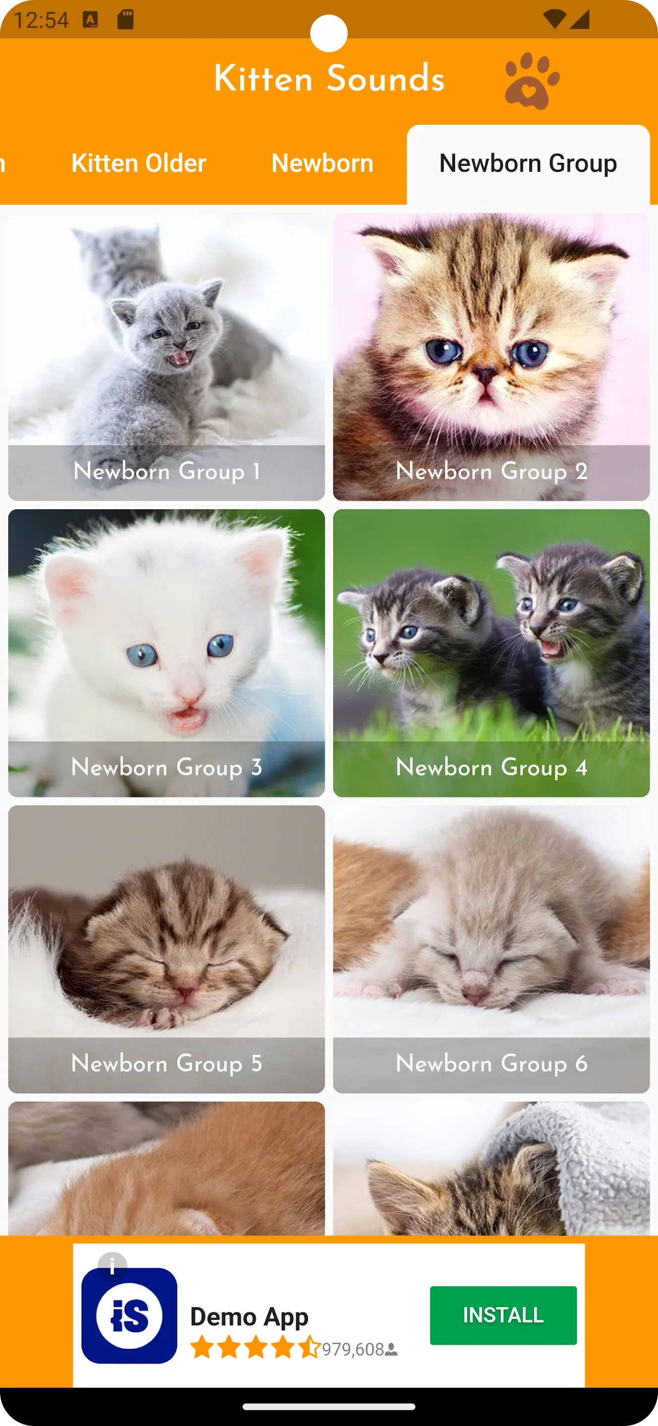 Kitten Sounds | Indus Appstore | Screenshot