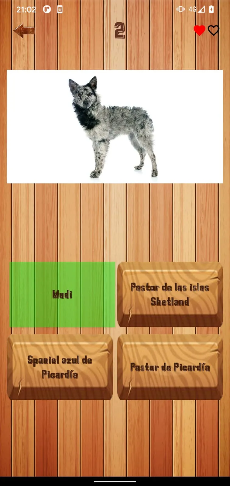 Guess dog breed | Indus Appstore | Screenshot