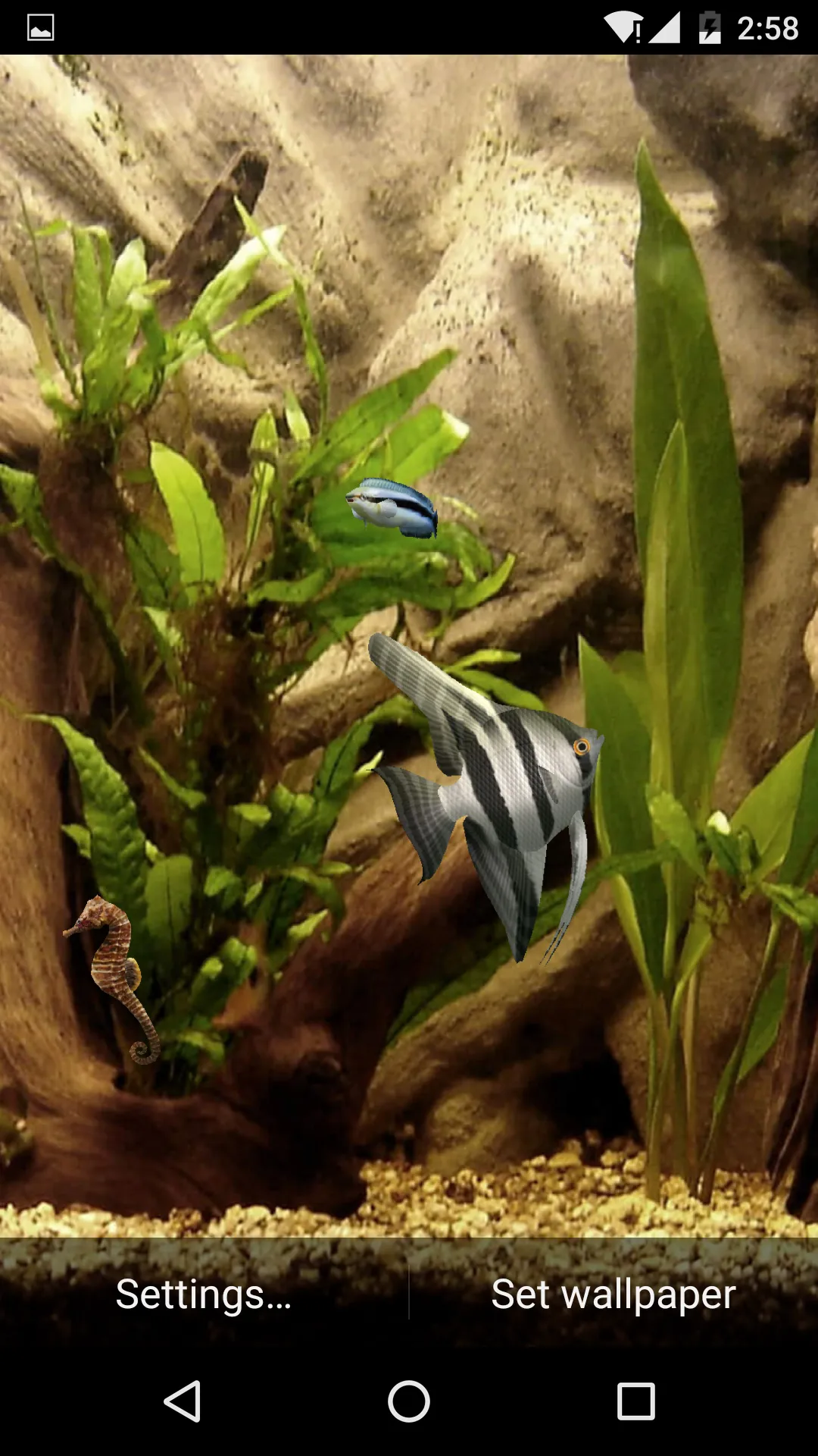 HD Aquarium Live Wallpaper 3D | Indus Appstore | Screenshot