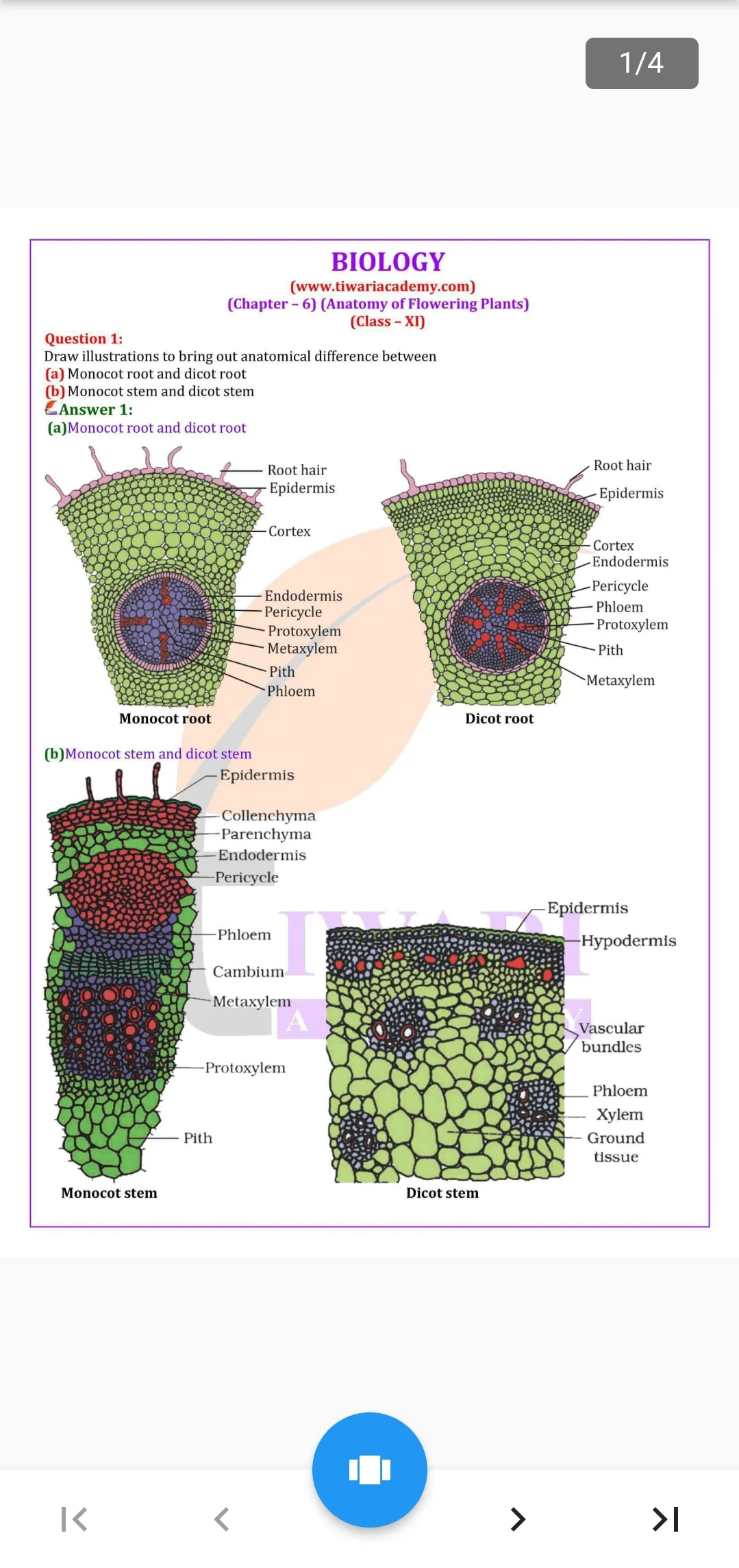 Class 11 Biology for 2024-25 | Indus Appstore | Screenshot