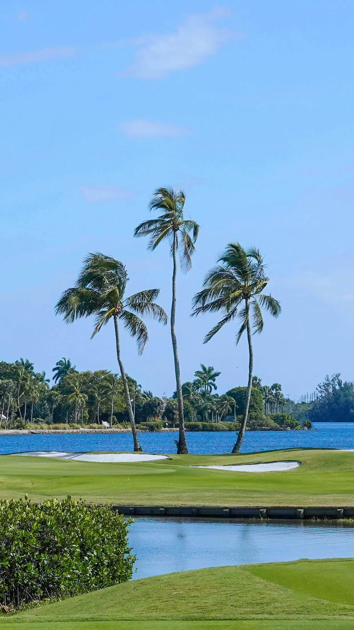 Jupiter Island Club | Indus Appstore | Screenshot