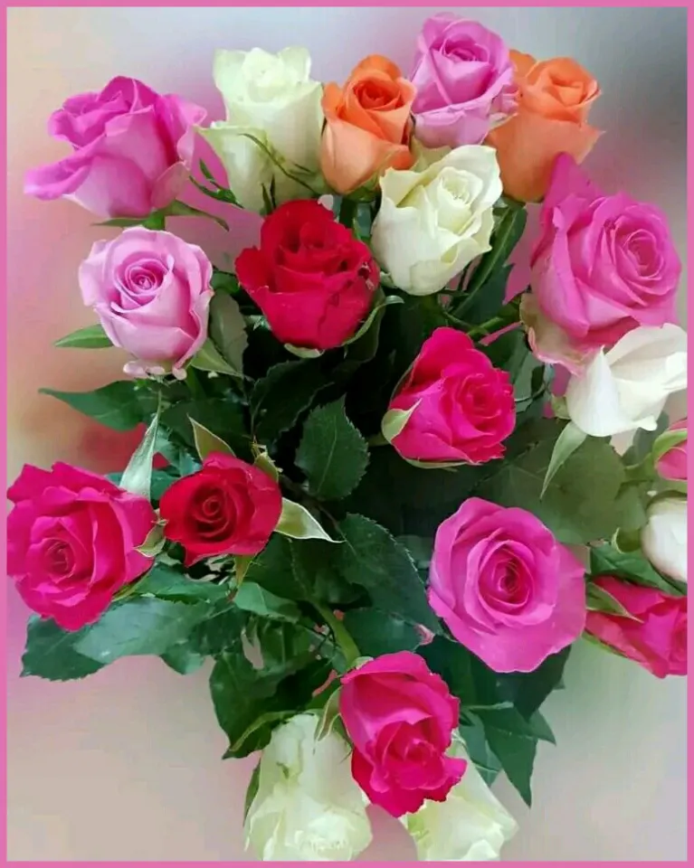 Flowers and Roses images | Indus Appstore | Screenshot