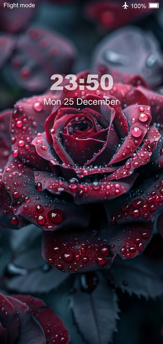 Rose Wallpaper 4K Live | Indus Appstore | Screenshot