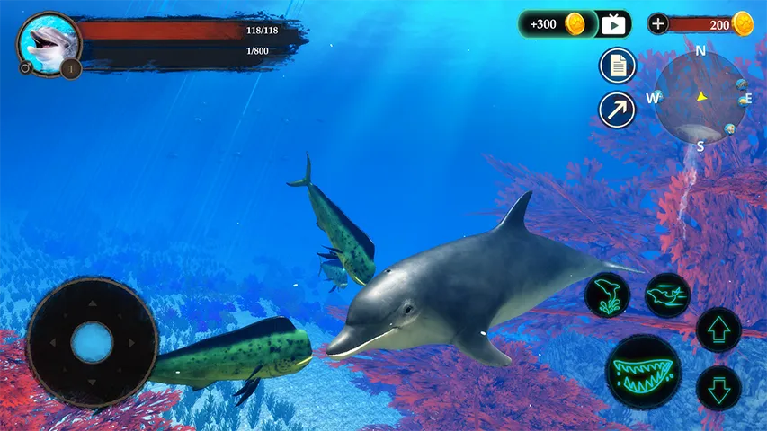 The Dolphin | Indus Appstore | Screenshot