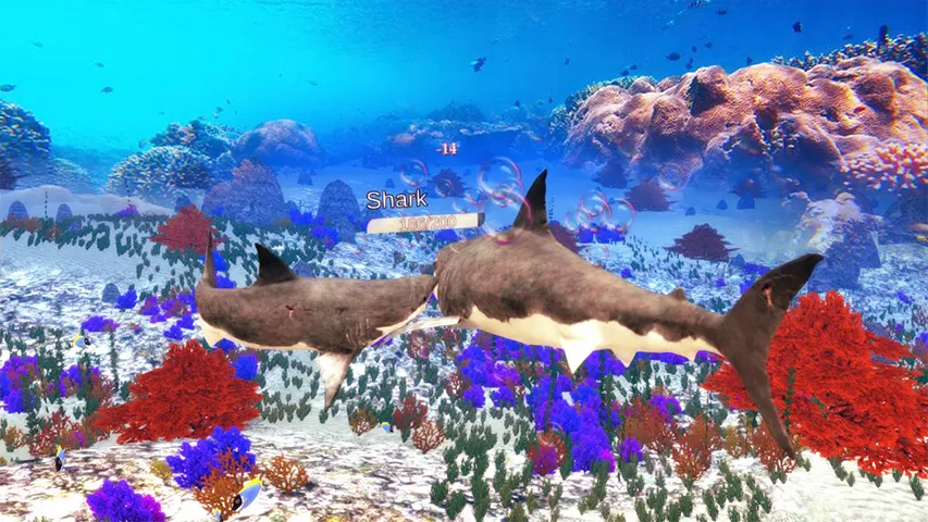 The Shark | Indus Appstore | Screenshot