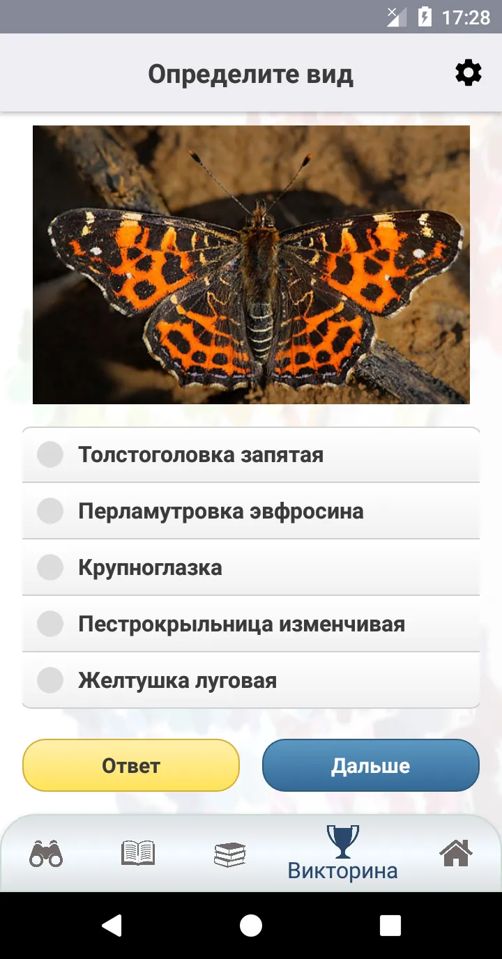 EcoGuide: Russian Butterflies | Indus Appstore | Screenshot