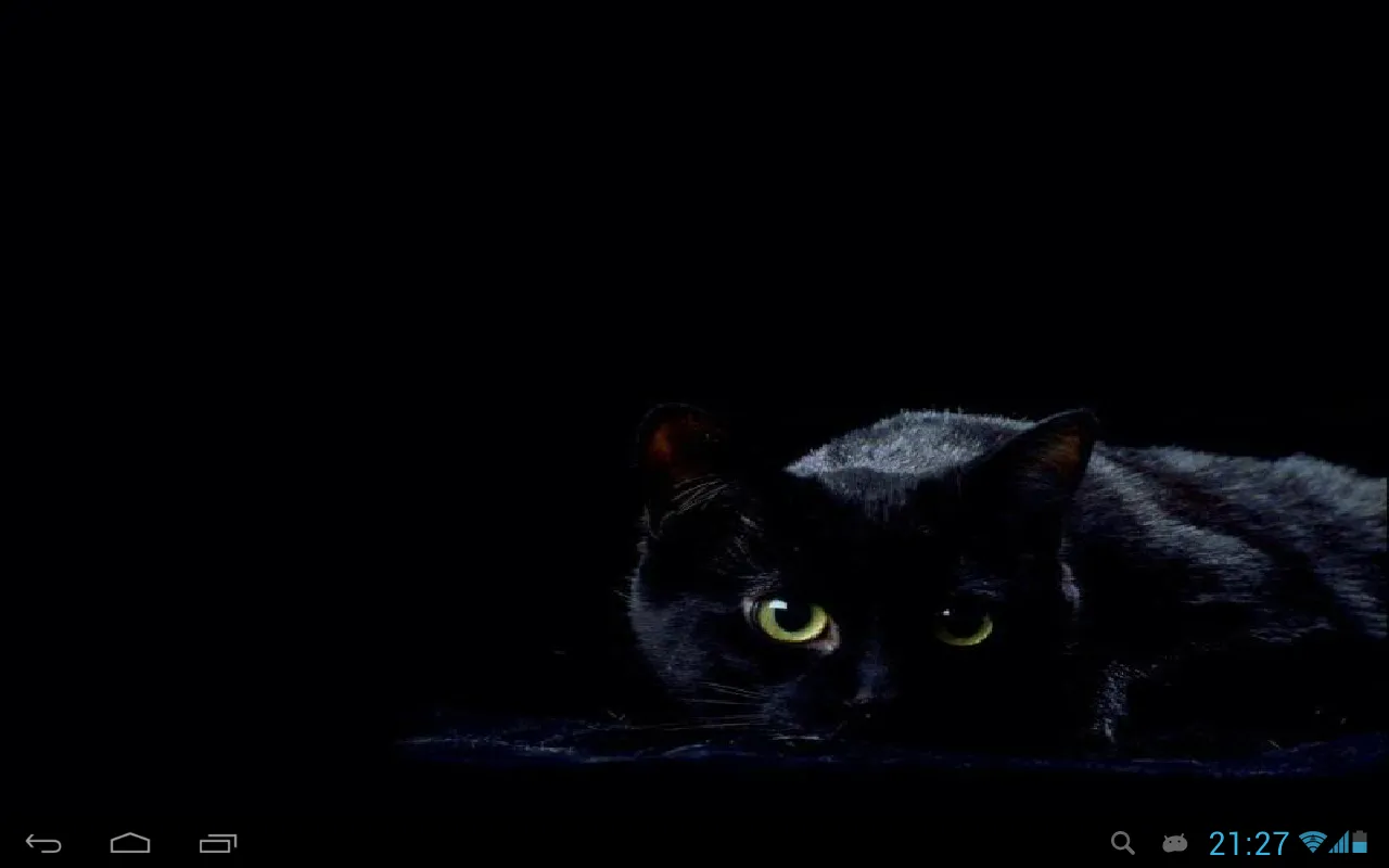 Black cats Live Wallpaper | Indus Appstore | Screenshot