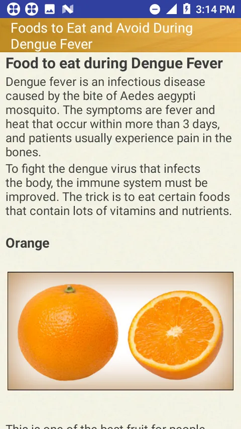 Dengue Fever Cure & Foods Diet | Indus Appstore | Screenshot