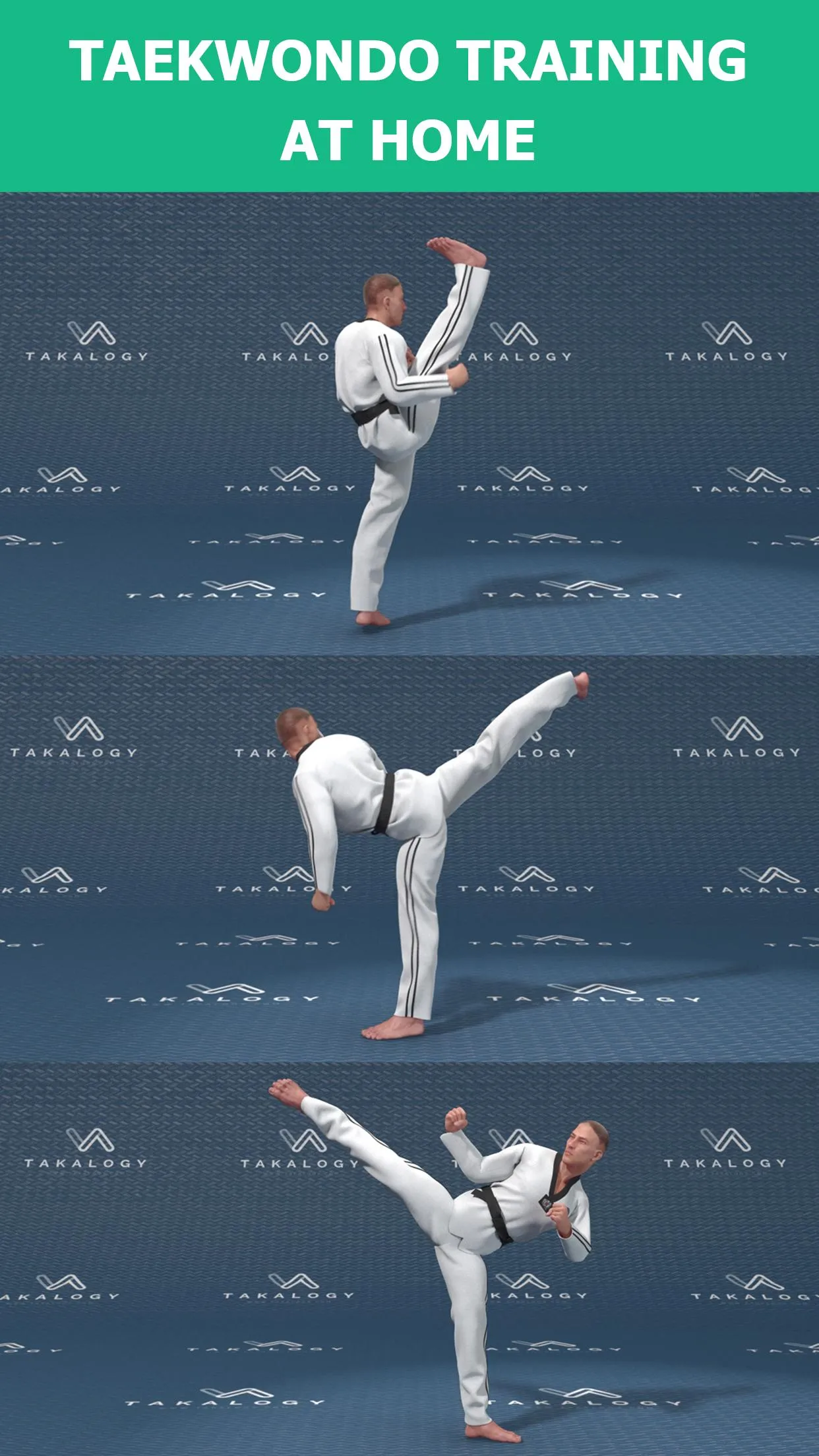 Mastering Taekwondo at Home | Indus Appstore | Screenshot