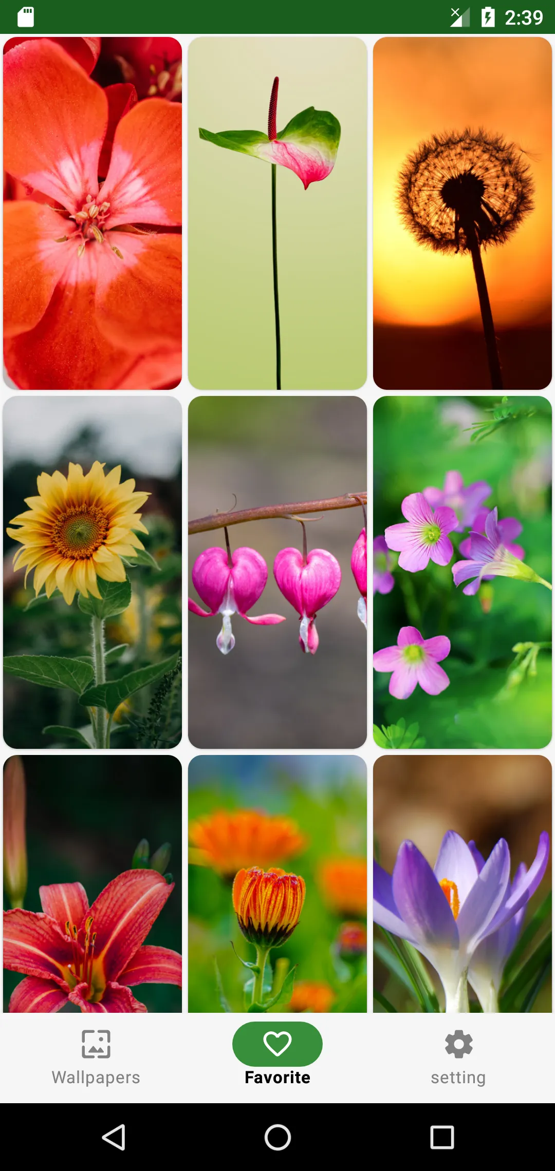 Flower Wallpaper | Indus Appstore | Screenshot