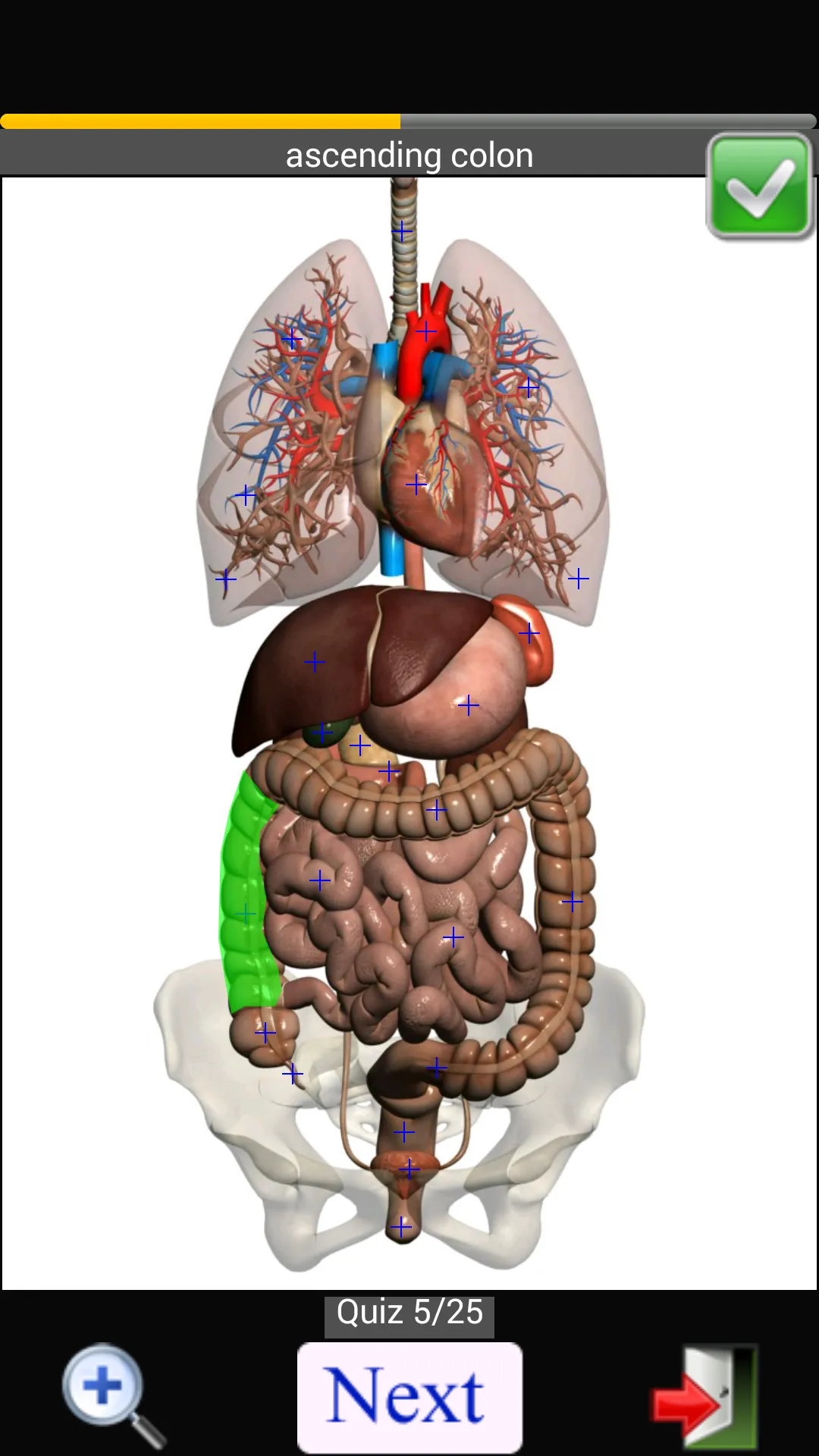 Anatomy Quiz | Indus Appstore | Screenshot