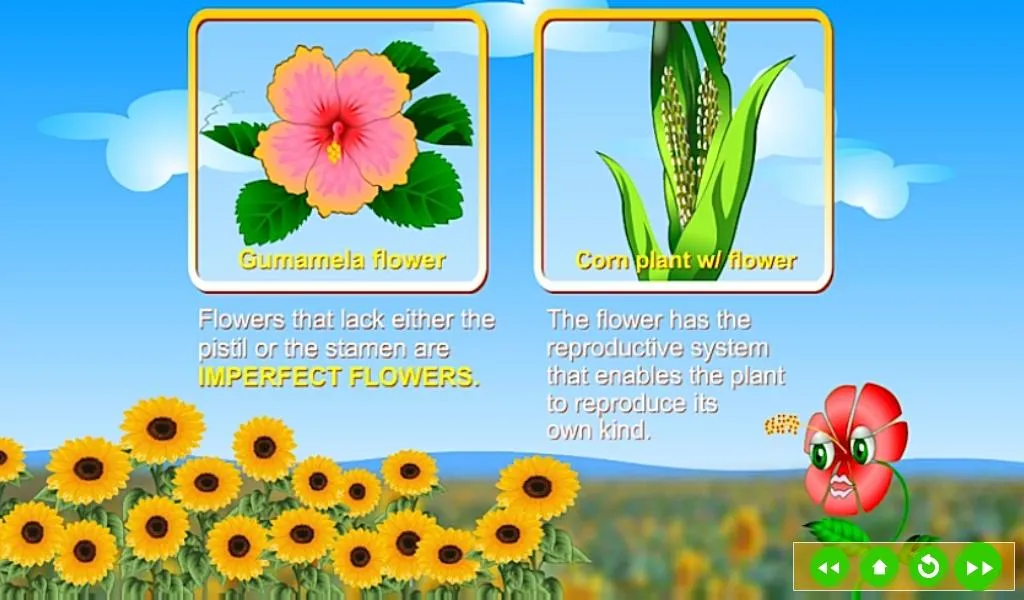 Reproduction in Plants | Indus Appstore | Screenshot