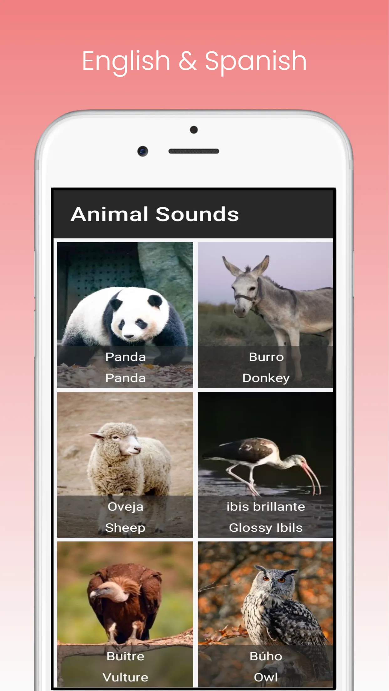 Animal Sounds App - With Birds | Indus Appstore | Screenshot