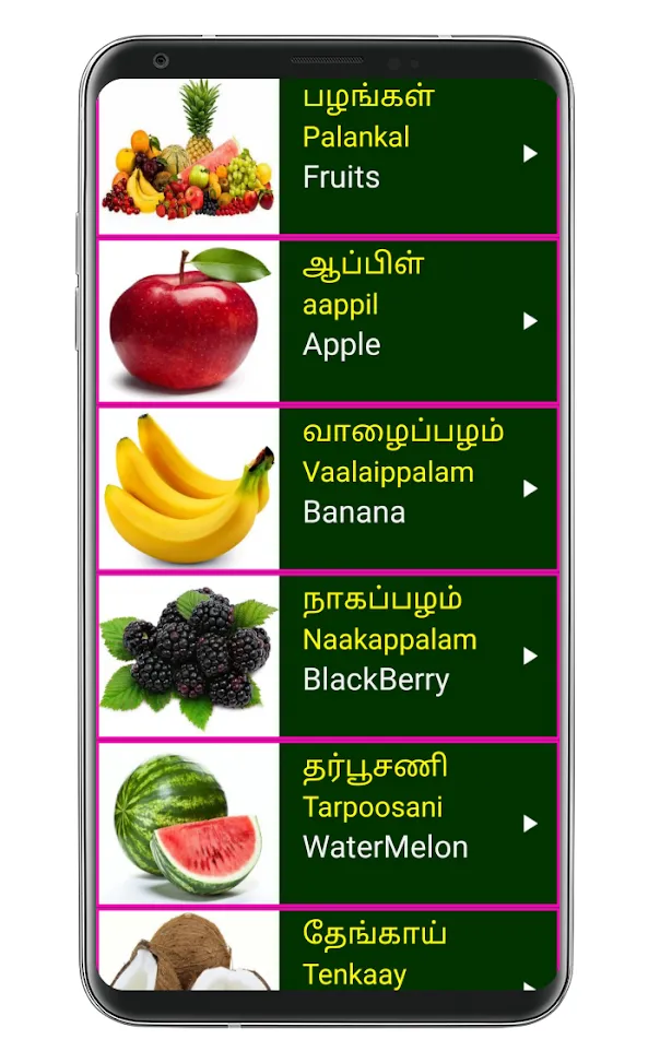 Learn Tamil From English | Indus Appstore | Screenshot