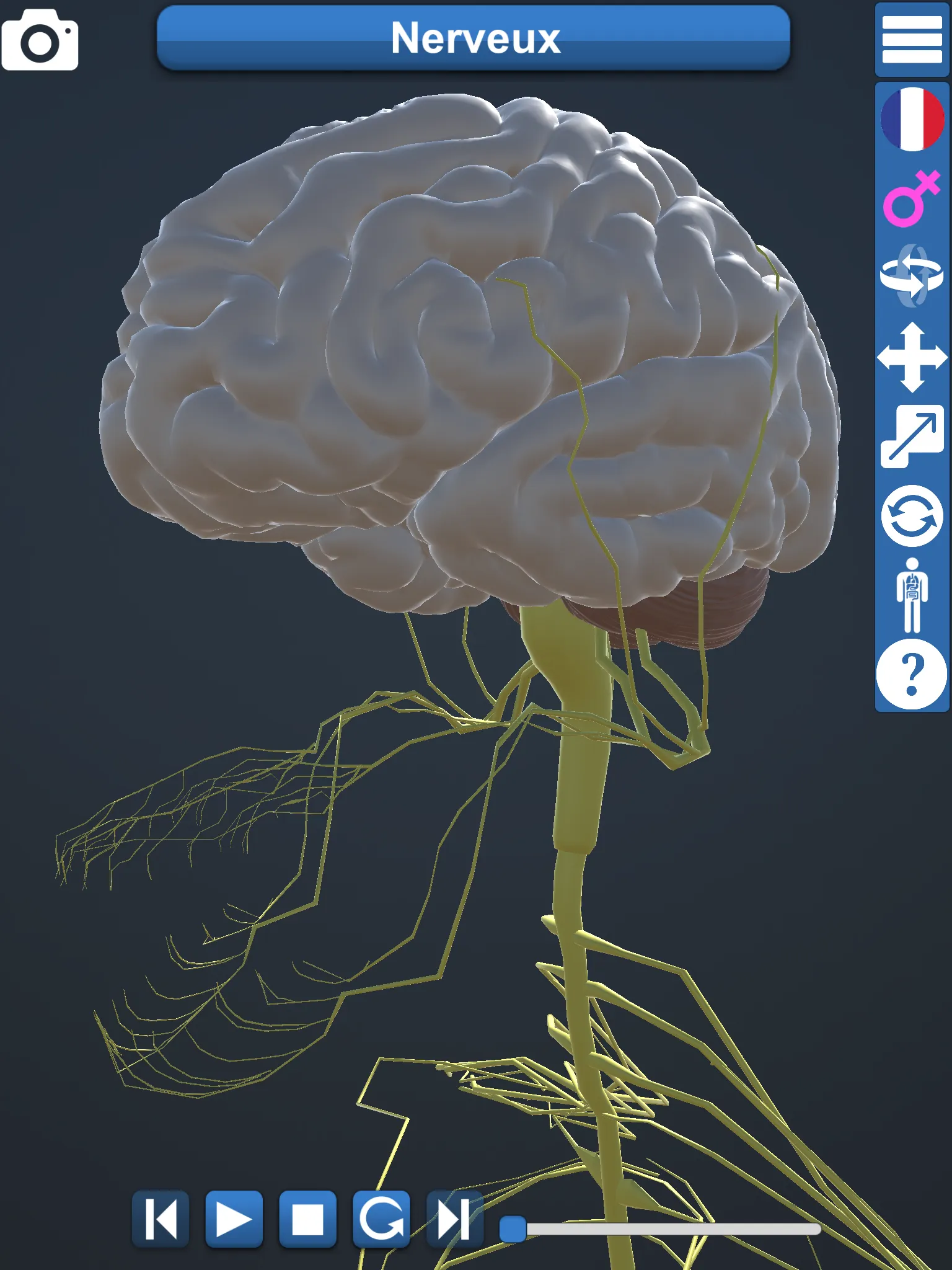 Anatomy 3D | Indus Appstore | Screenshot