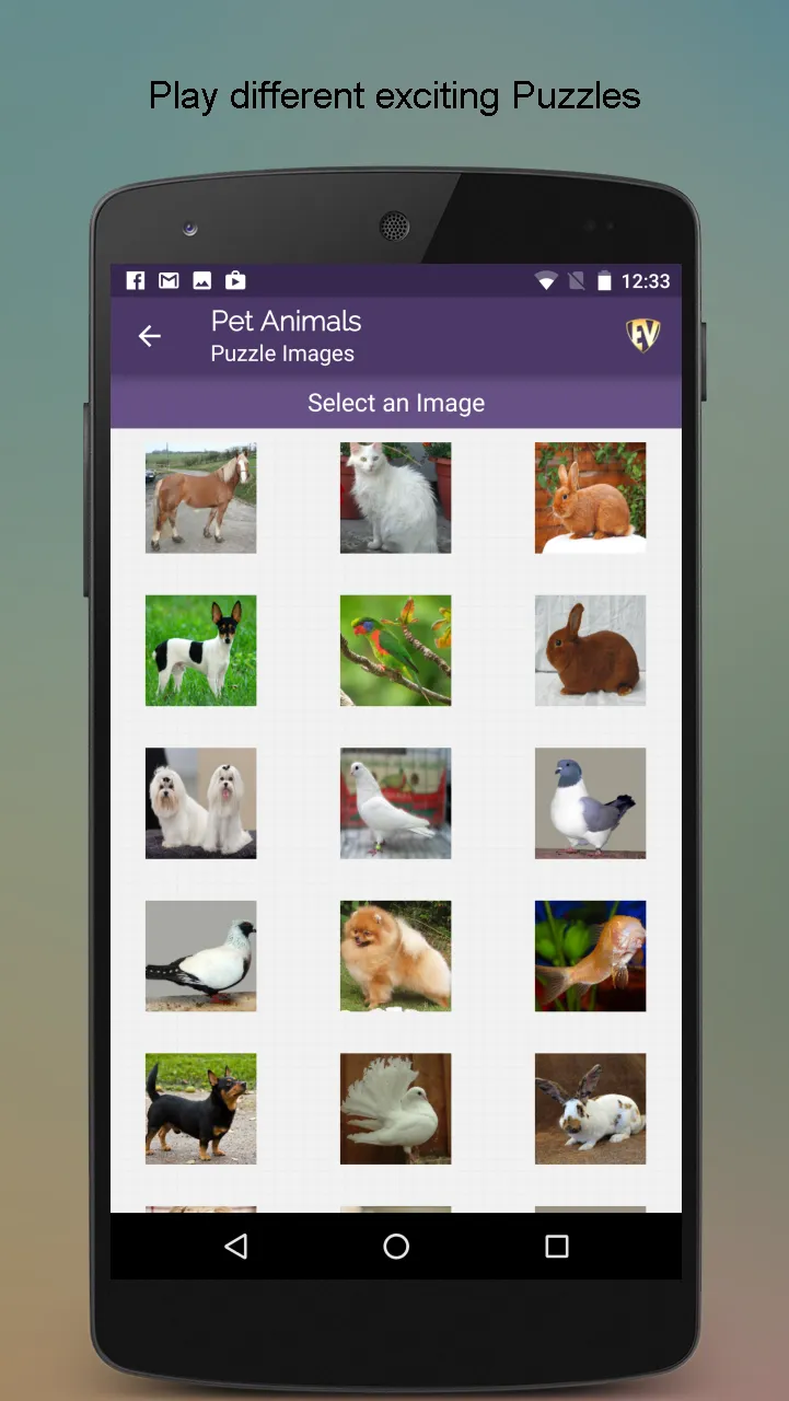 Pet Animals Dictionary | Indus Appstore | Screenshot