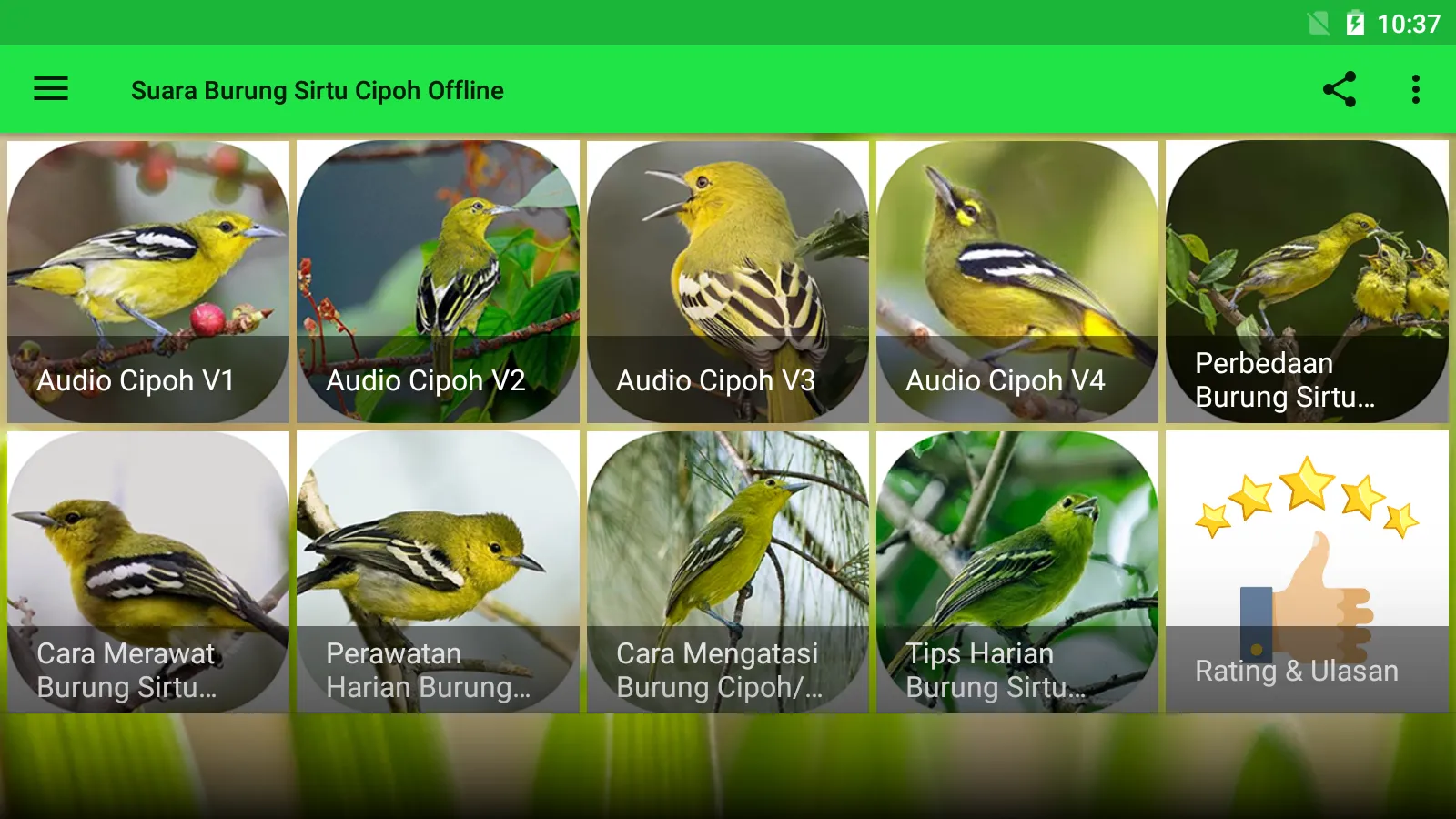 Suara Sirtu Cipoh Offline | Indus Appstore | Screenshot