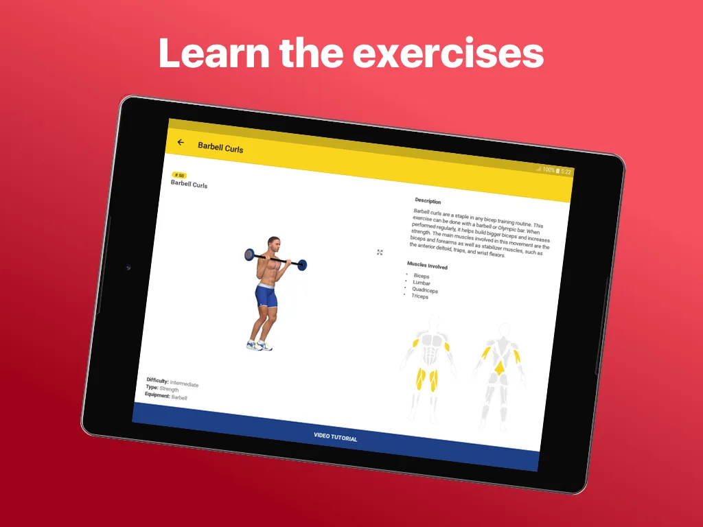 Arms & Shoulders Home Workout | Indus Appstore | Screenshot