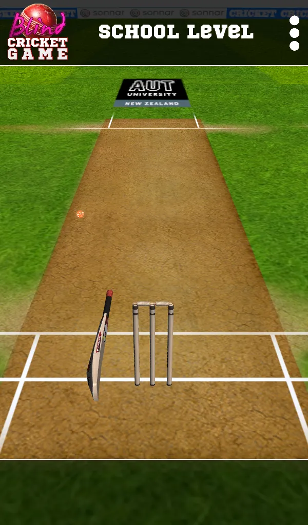 Blind Cricket | Indus Appstore | Screenshot