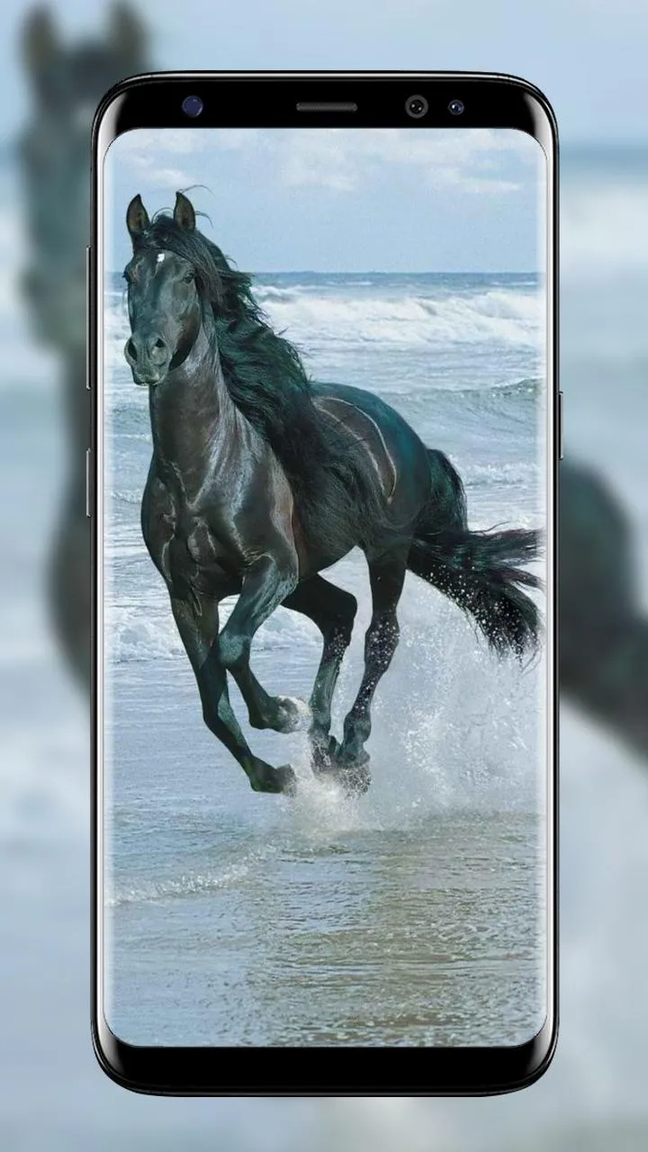 Horse Wallpapers | Indus Appstore | Screenshot