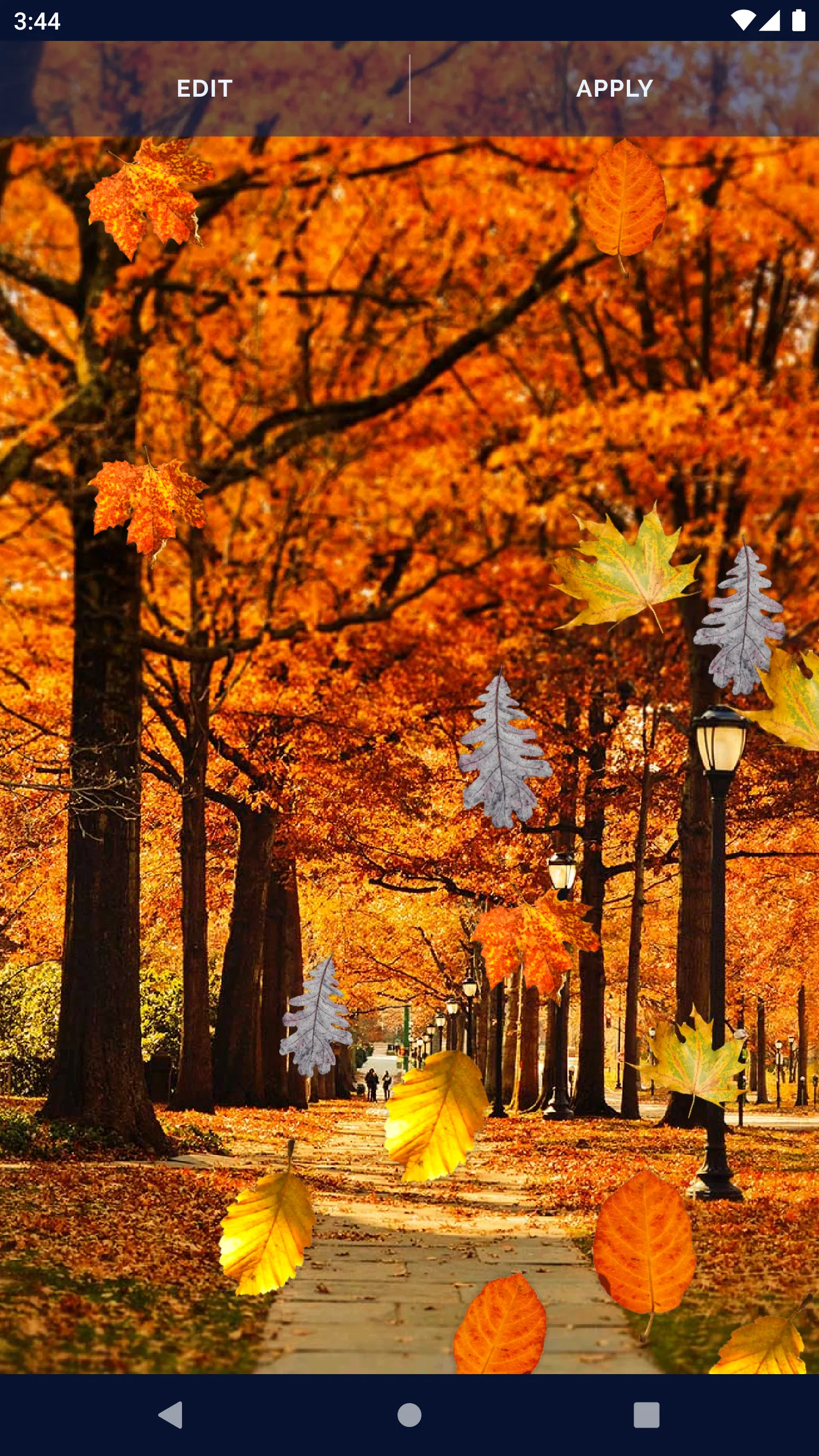 Autumn Leaves Live Wallpaper | Indus Appstore | Screenshot