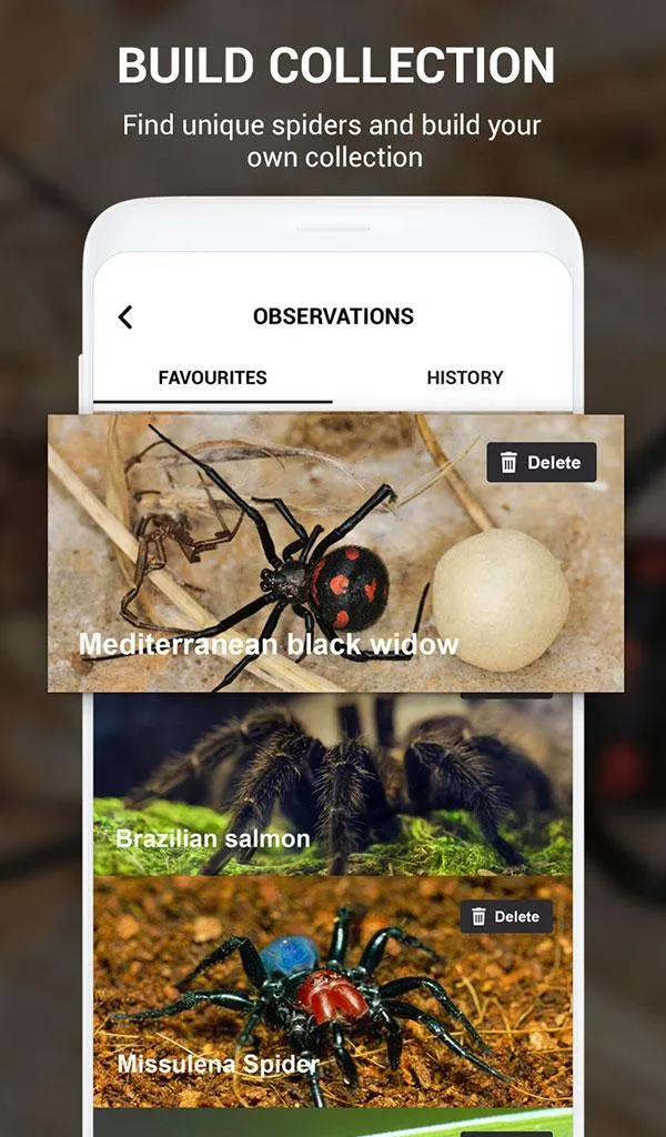 Spider Identifier App by Photo | Indus Appstore | Screenshot