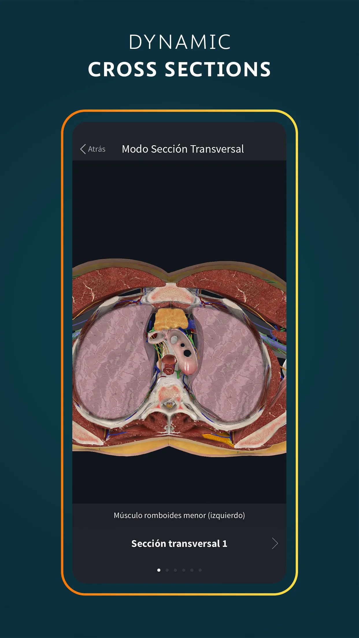 Complete Anatomy 2024 | Indus Appstore | Screenshot