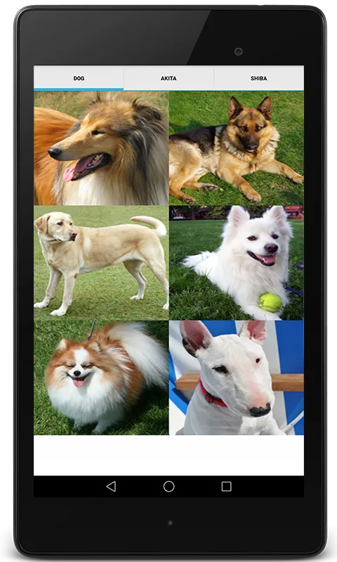 Dog Sounds for Dog | Indus Appstore | Screenshot