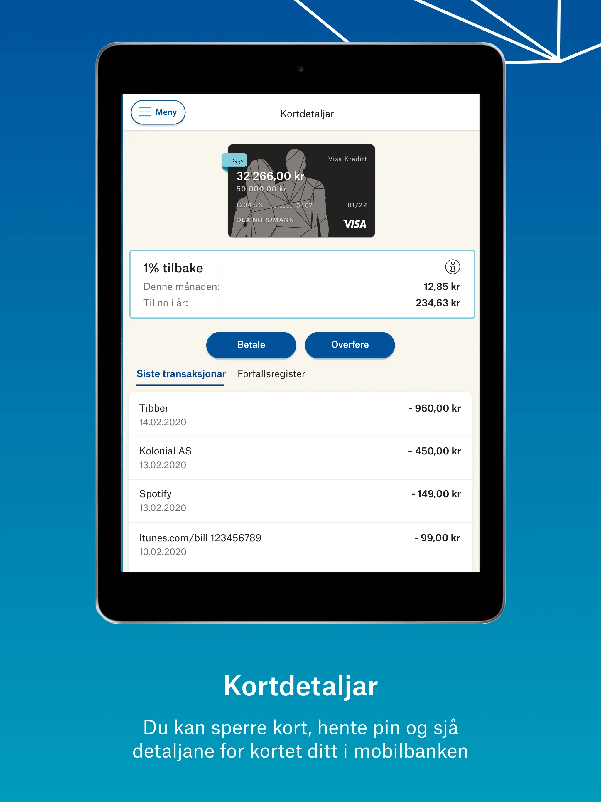 Onlinebank SSF | Indus Appstore | Screenshot