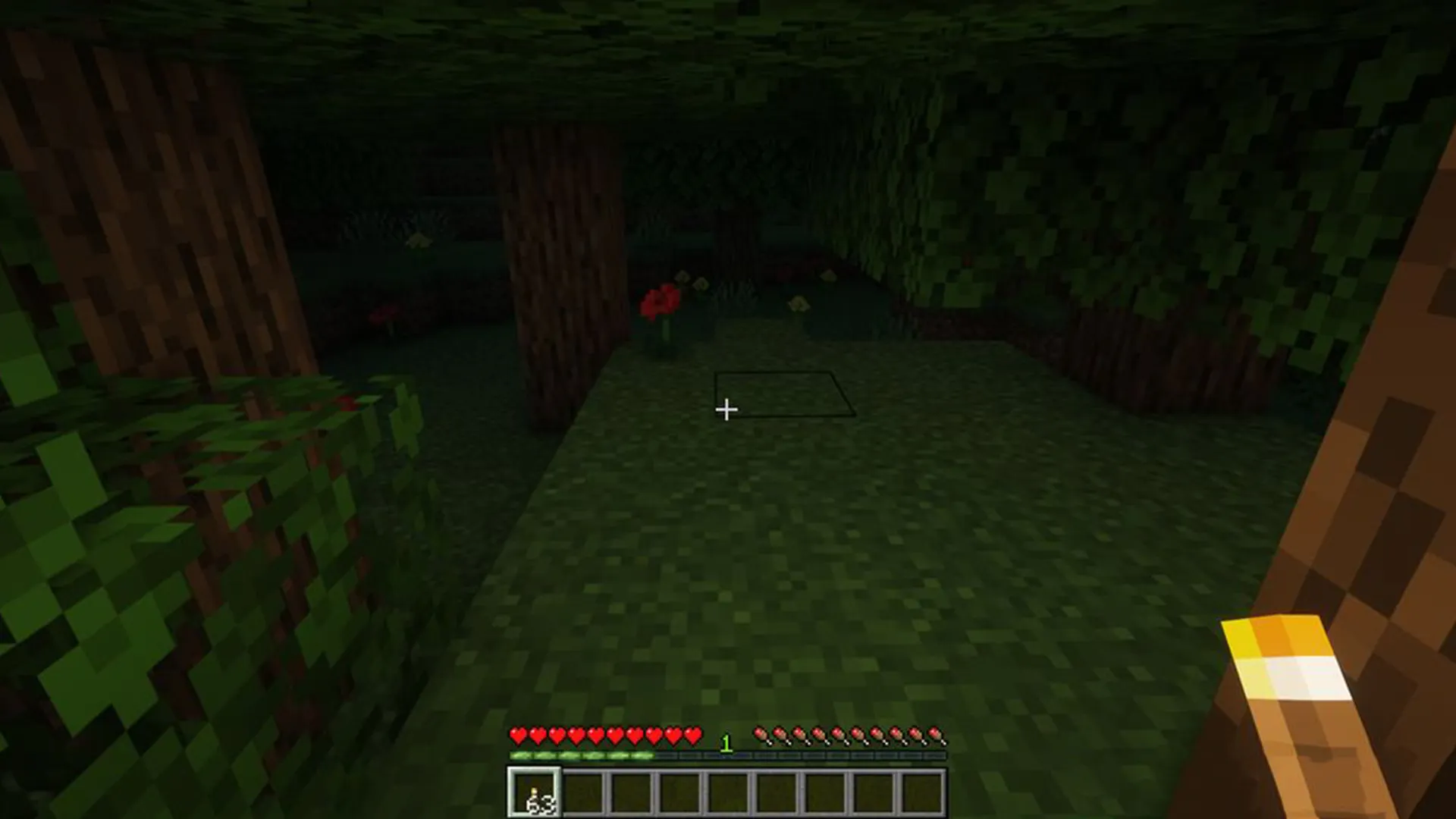 Raiyons Lights Mod Minecraft | Indus Appstore | Screenshot