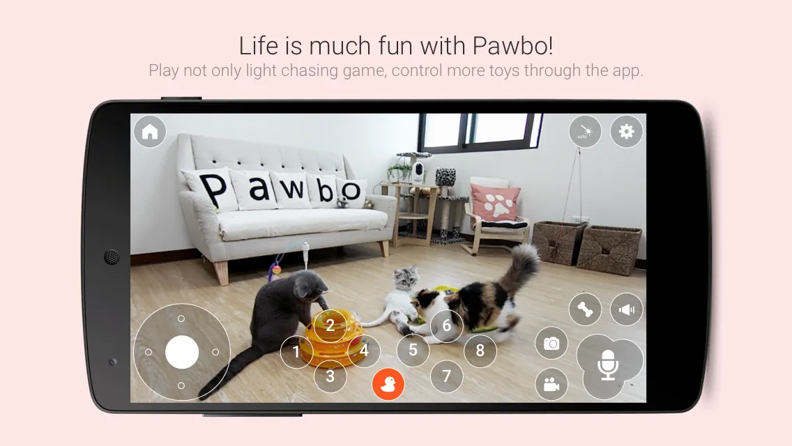 Pawbo Life | Indus Appstore | Screenshot