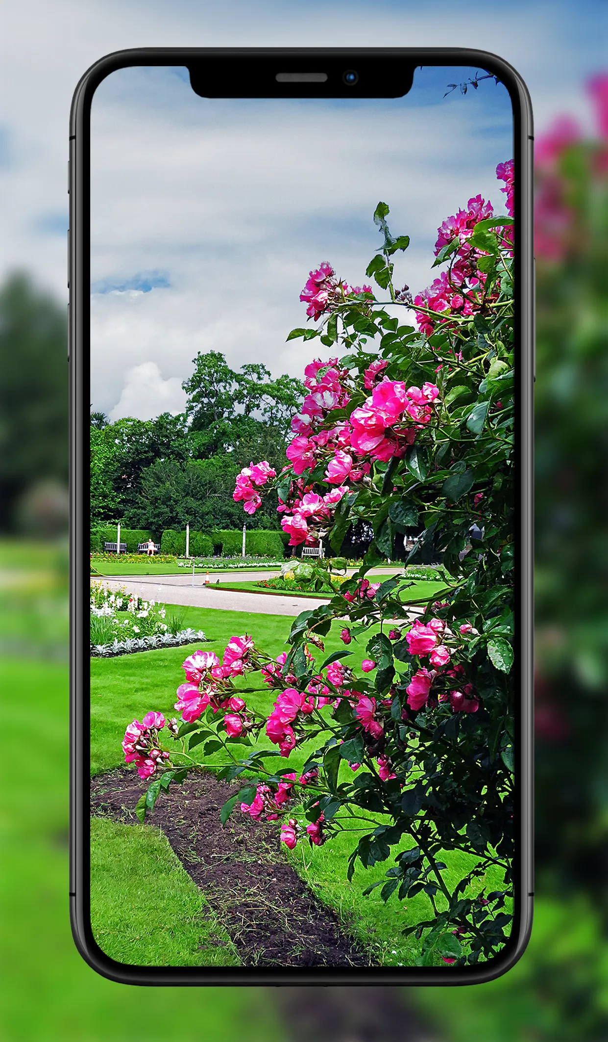 Garden Wallpapers | Indus Appstore | Screenshot