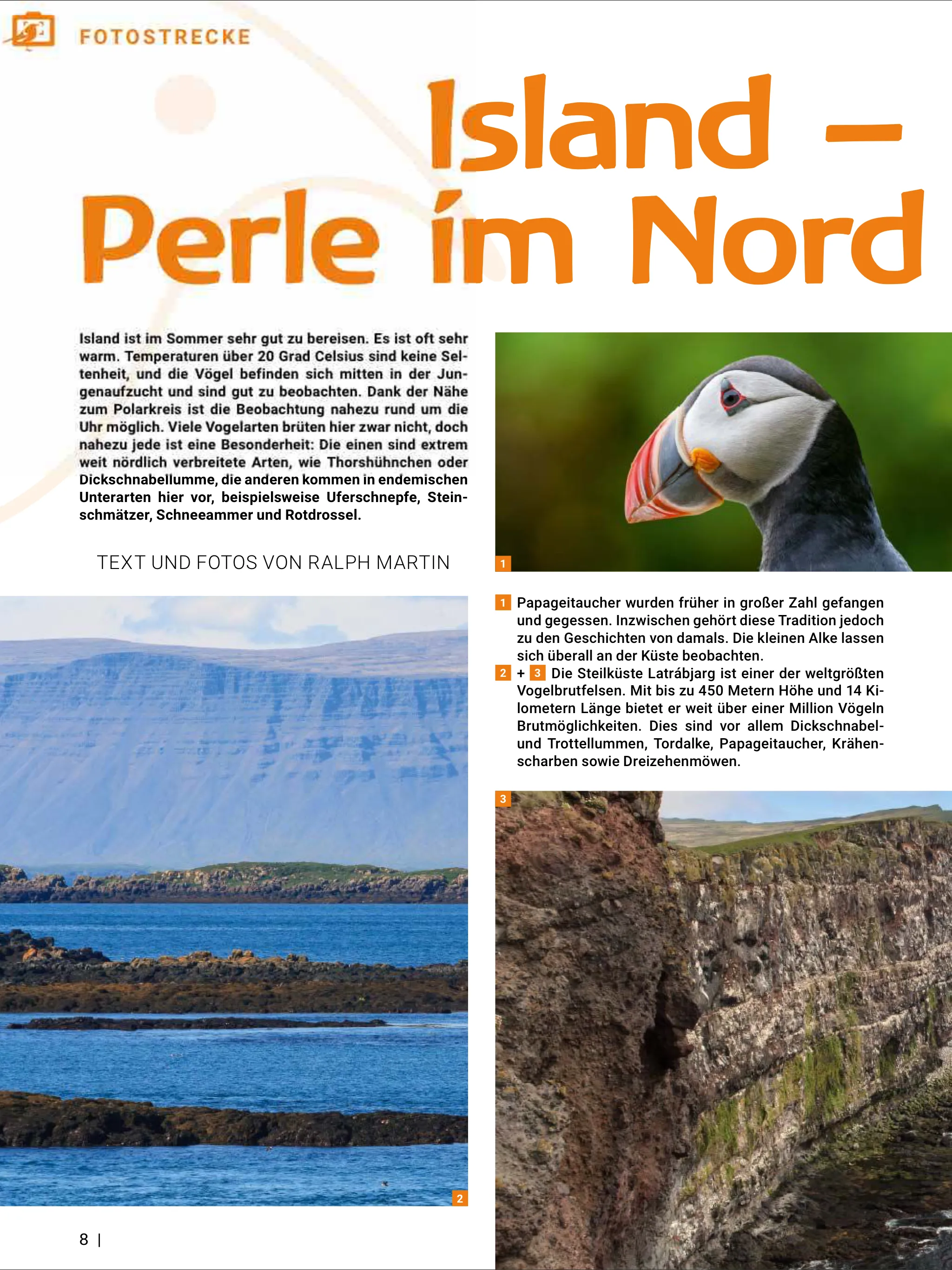 VÖGEL - Magazin für Vogelbeoba | Indus Appstore | Screenshot