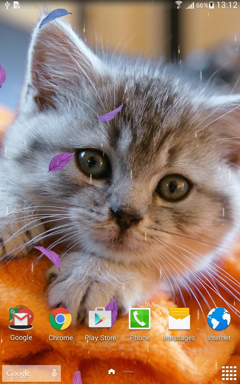 Animals Cute Live Wallpaper | Indus Appstore | Screenshot