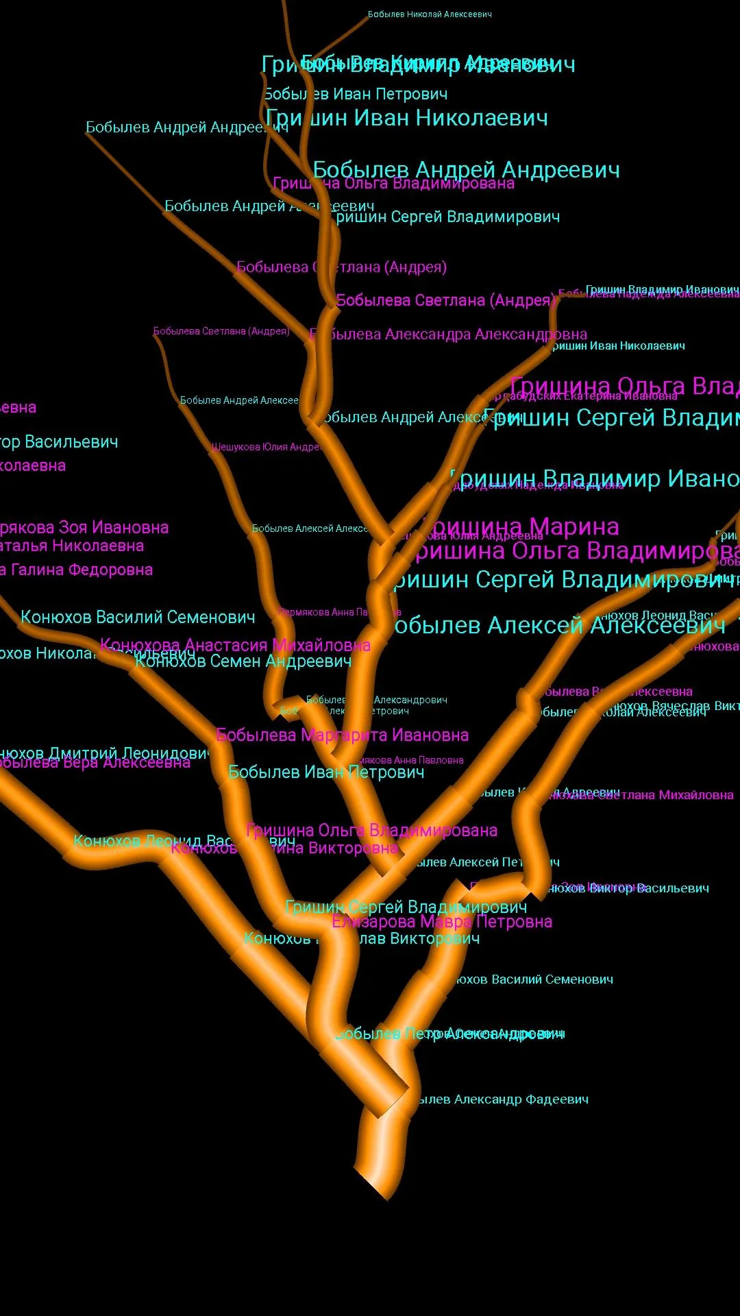 The Family Tree of Family | Indus Appstore | Screenshot