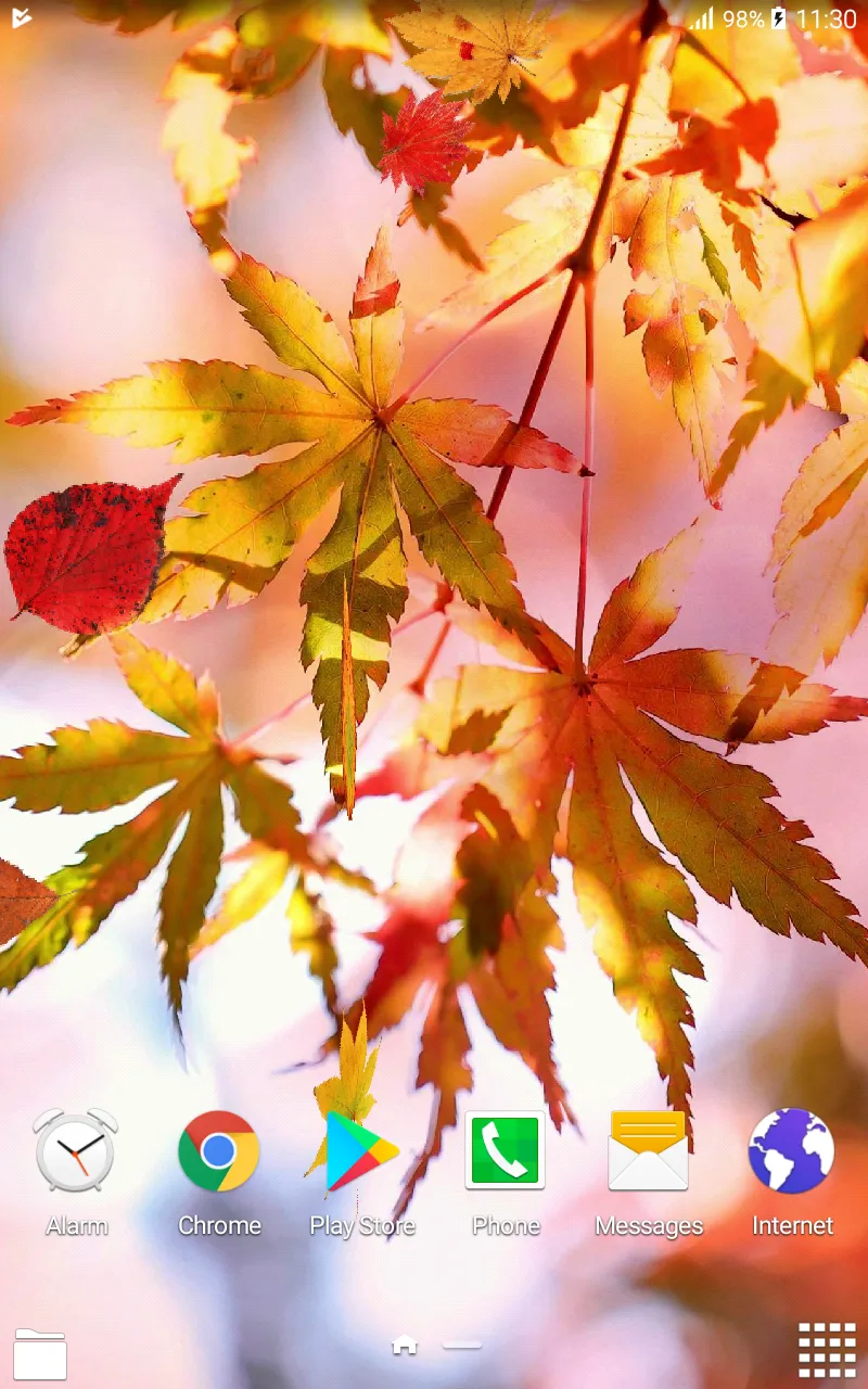 Beautiful Autumn Live Wallpape | Indus Appstore | Screenshot