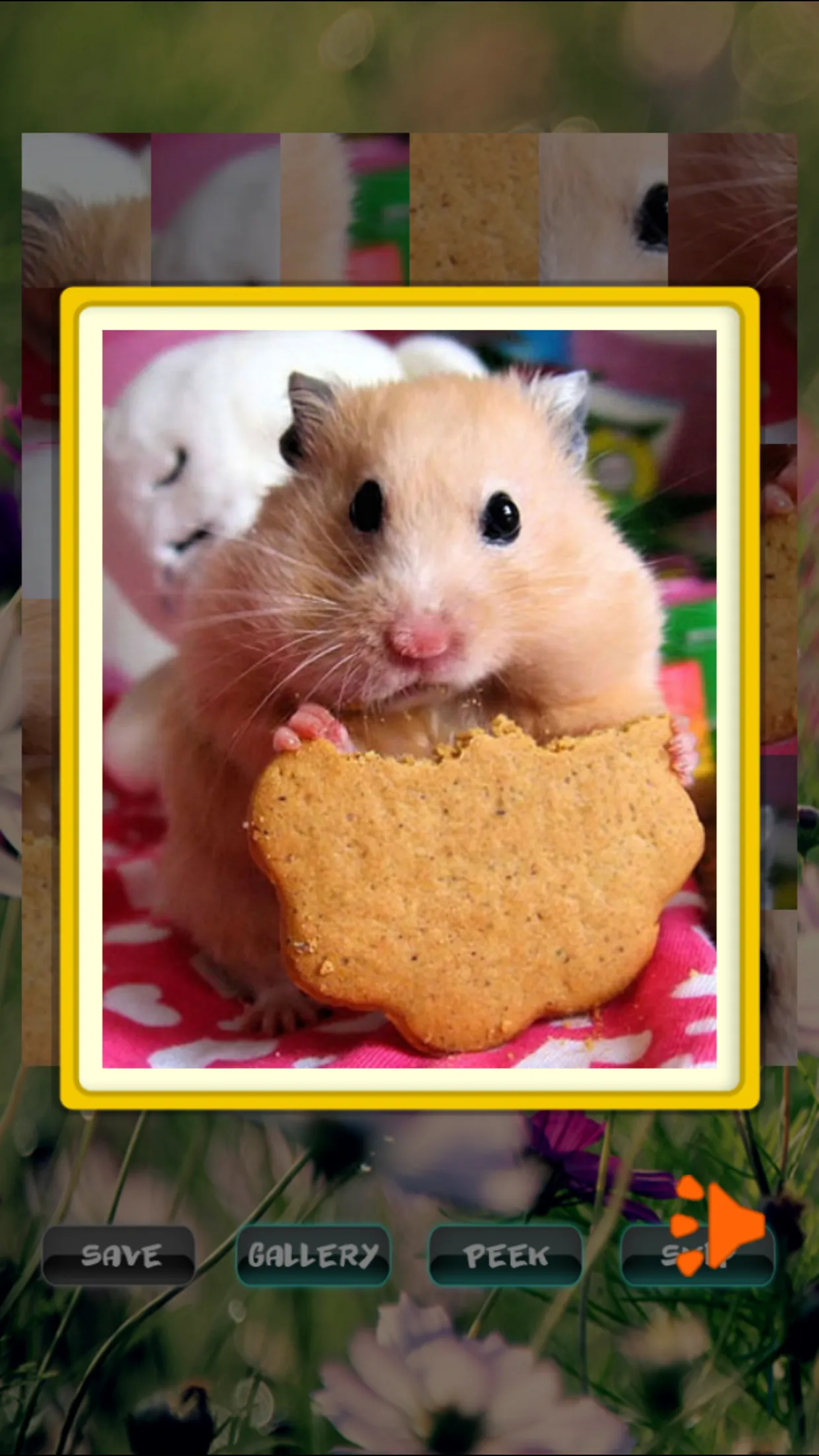 Hamster Pet Puzzles | Indus Appstore | Screenshot