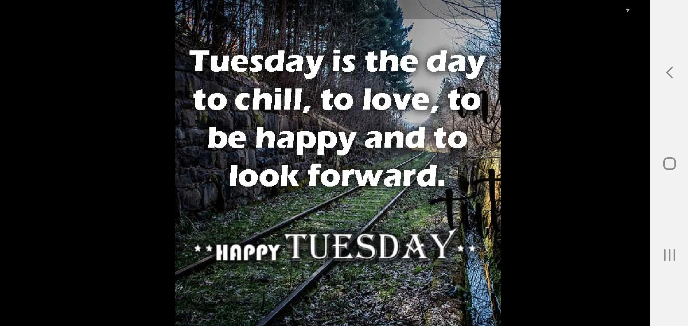 HAVE A SPLENDID TUESDAY | Indus Appstore | Screenshot