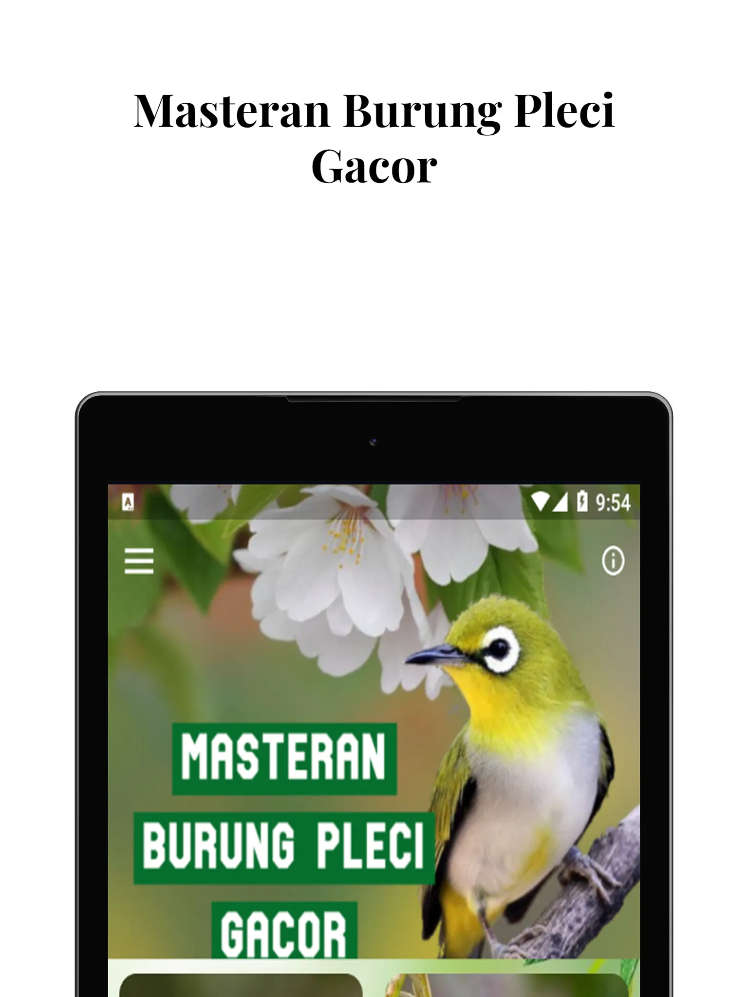 Masteran Burung Pleci Gacor | Indus Appstore | Screenshot