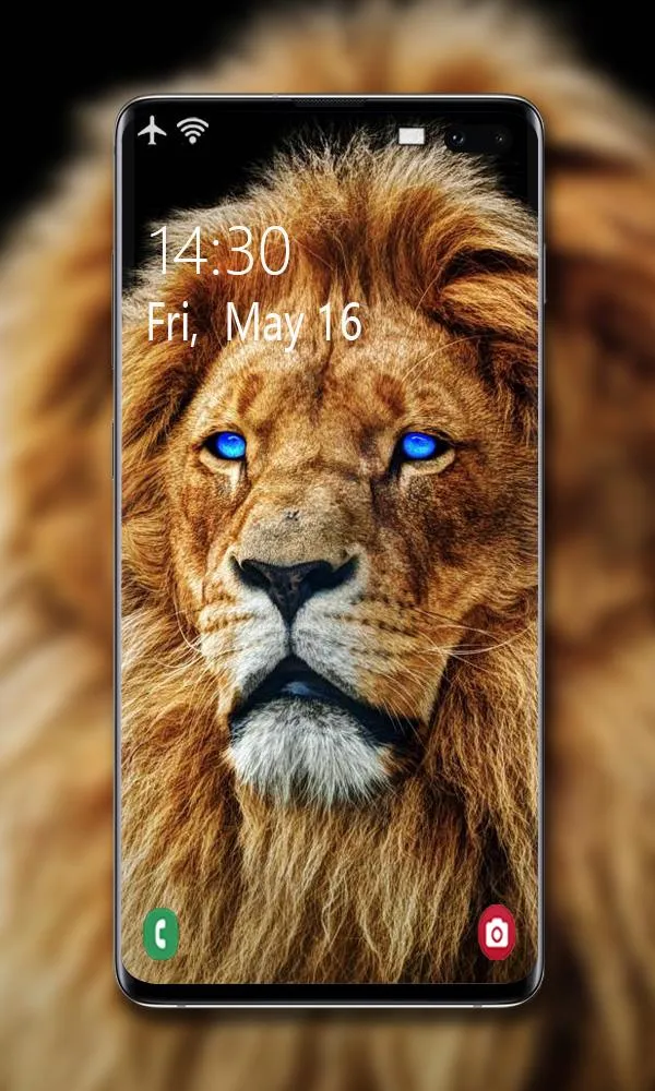 Lion Wallpaper | Indus Appstore | Screenshot