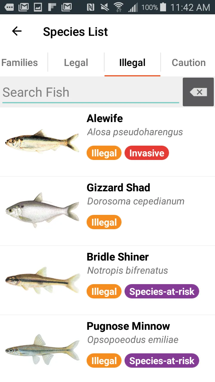 Baitfish Primer | Indus Appstore | Screenshot