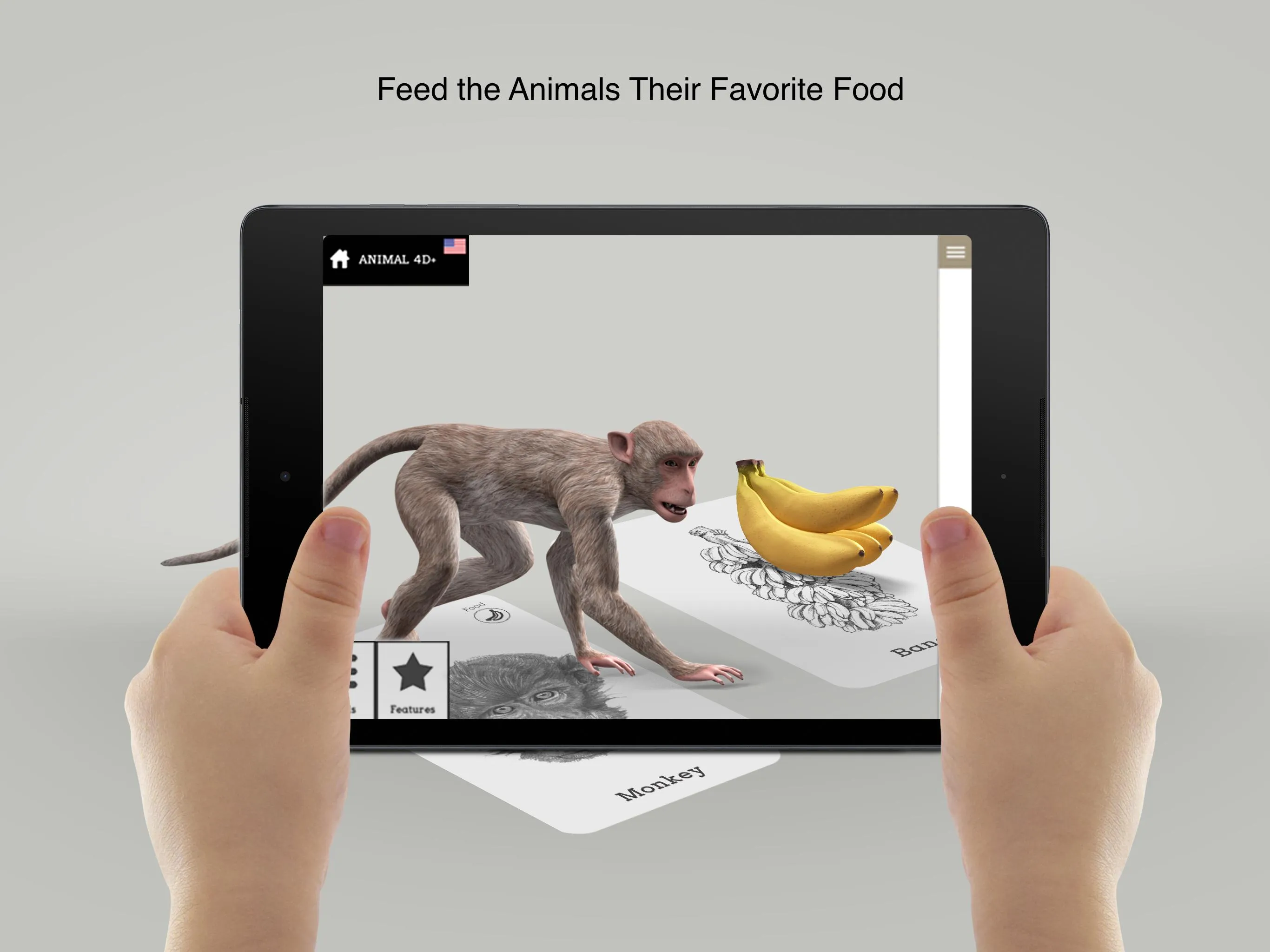 Animal 4D+ | Indus Appstore | Screenshot