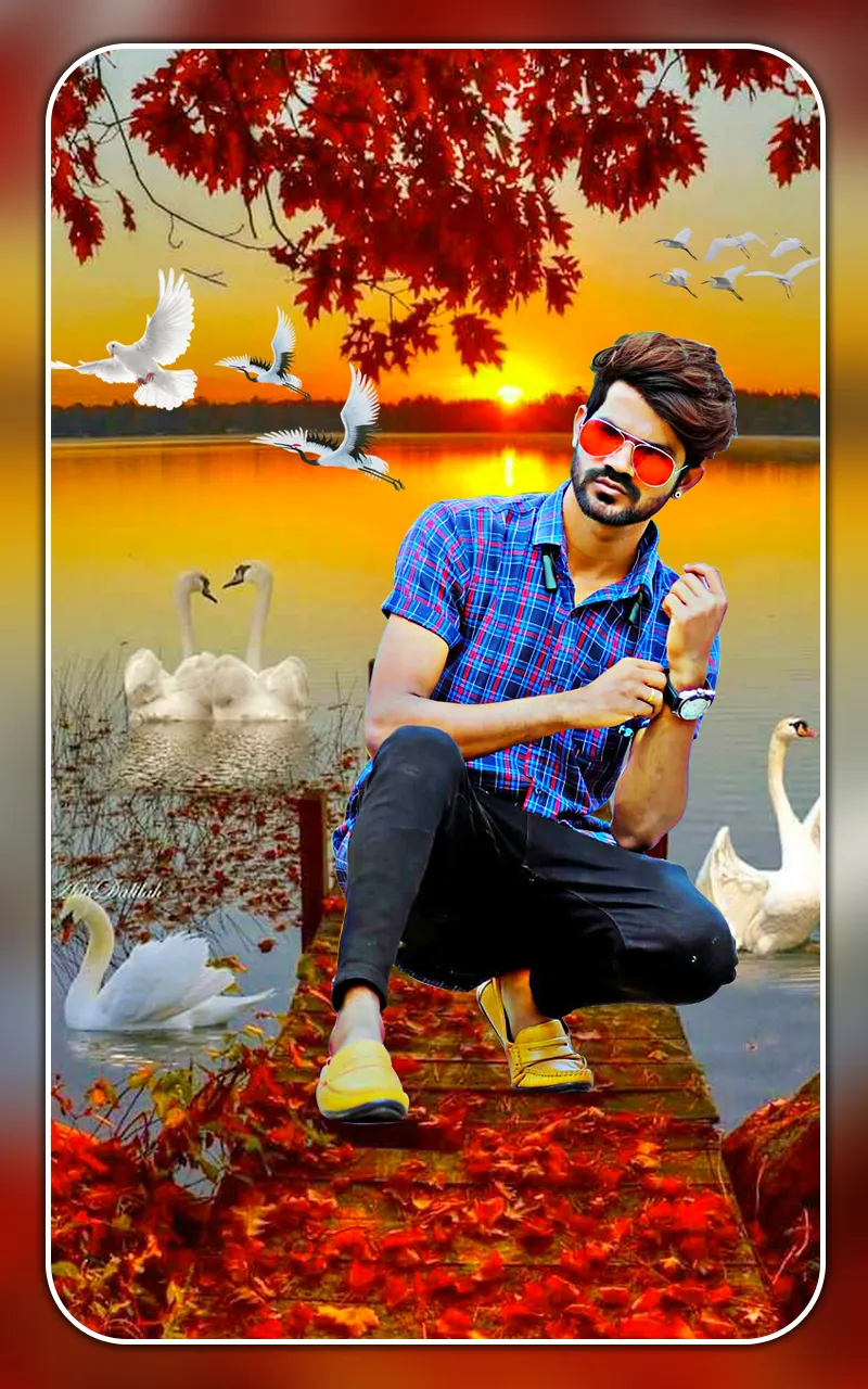 Bird photo editor and frames | Indus Appstore | Screenshot