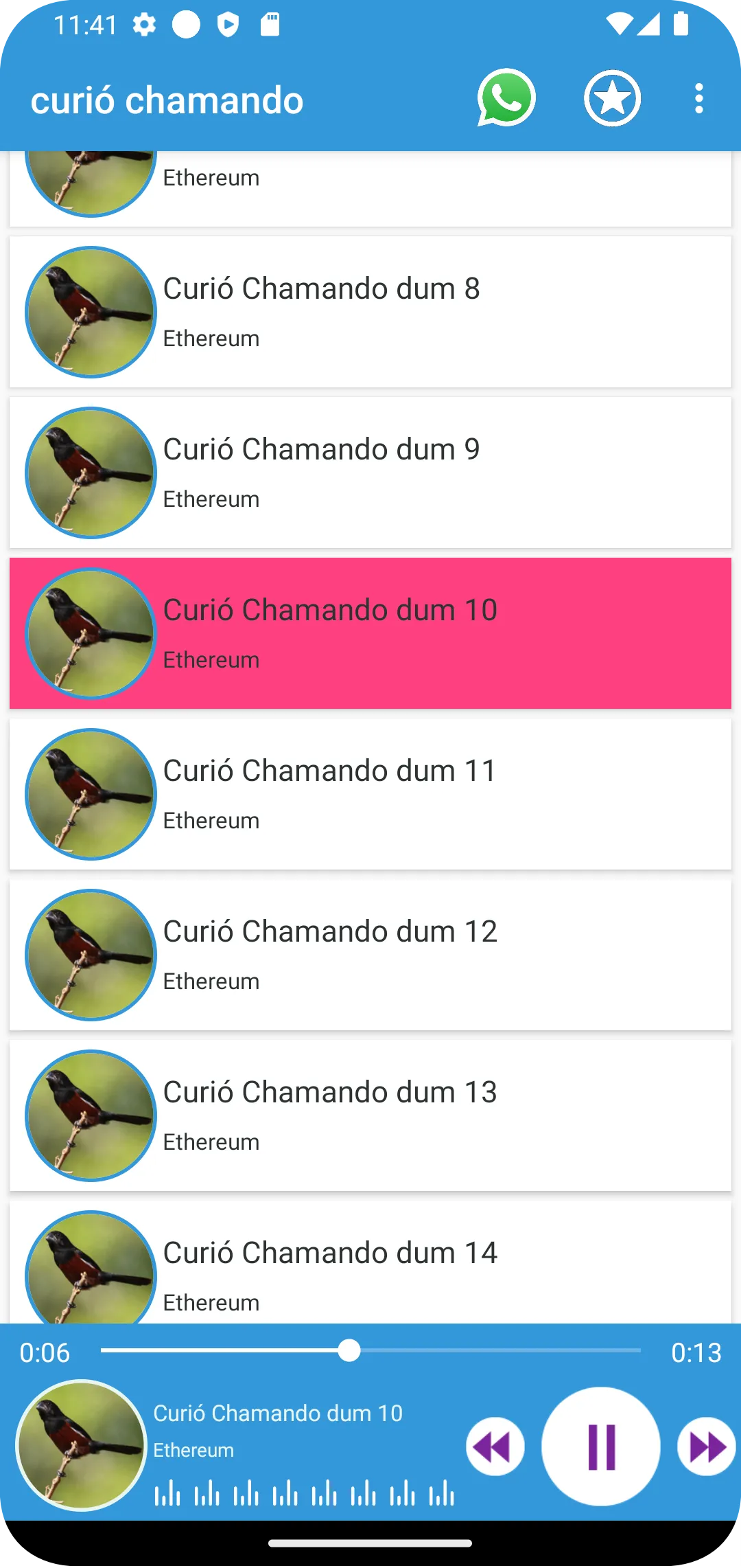 Curió chamando | Indus Appstore | Screenshot