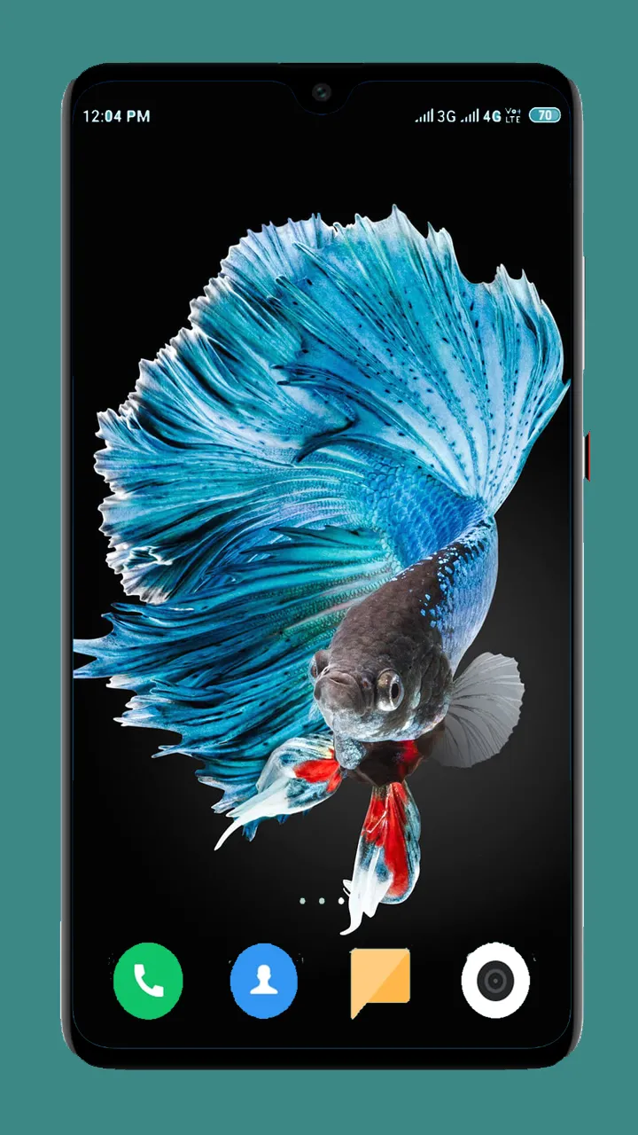 Betta Fish Wallpapers 4K | Indus Appstore | Screenshot